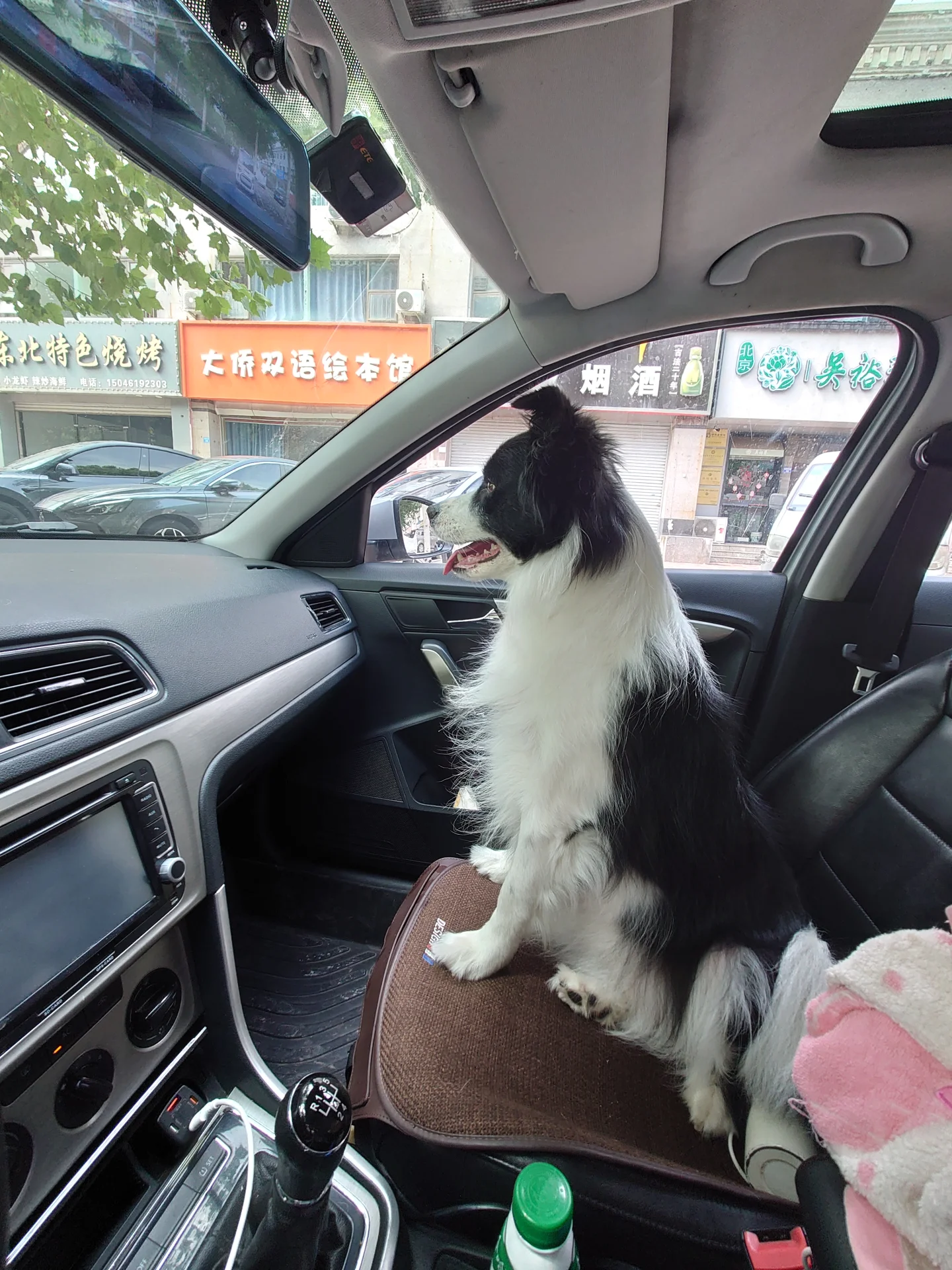一只黑白狗坐在车的副驾座上，车停在街上，背景有其他车辆。行人穿梭其间，氛围热闹非凡。关键字:黑白狗 车 街道 其他车辆 行人