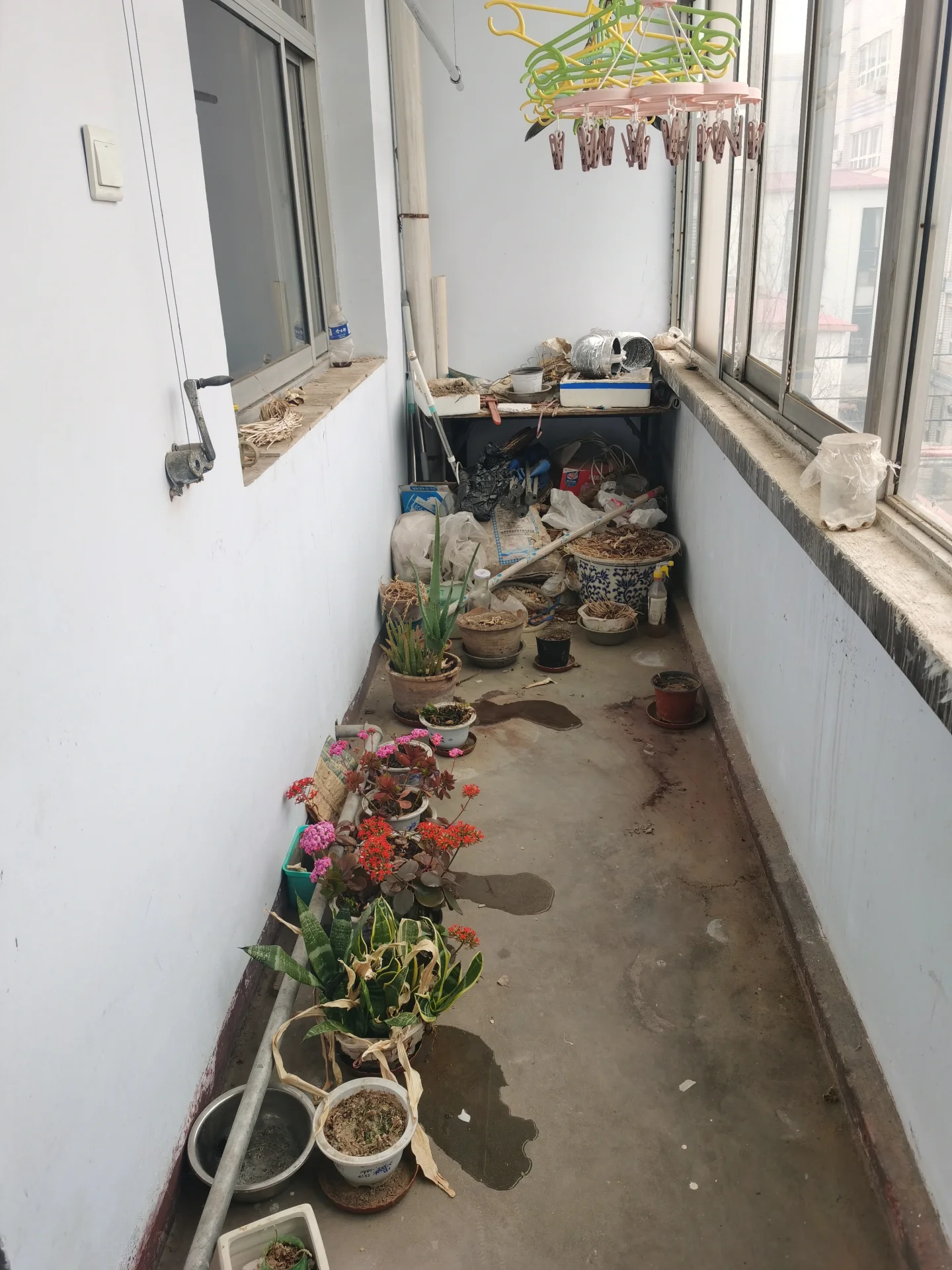 小而杂乱的房间，白墙灰地，摆放着几盆植物和花瓶，靠近窗户。一张椅子散落在室内，整体显得有些杂乱无章。关键字:小房间 杂乱 白墙 灰地 植物 花瓶 椅子