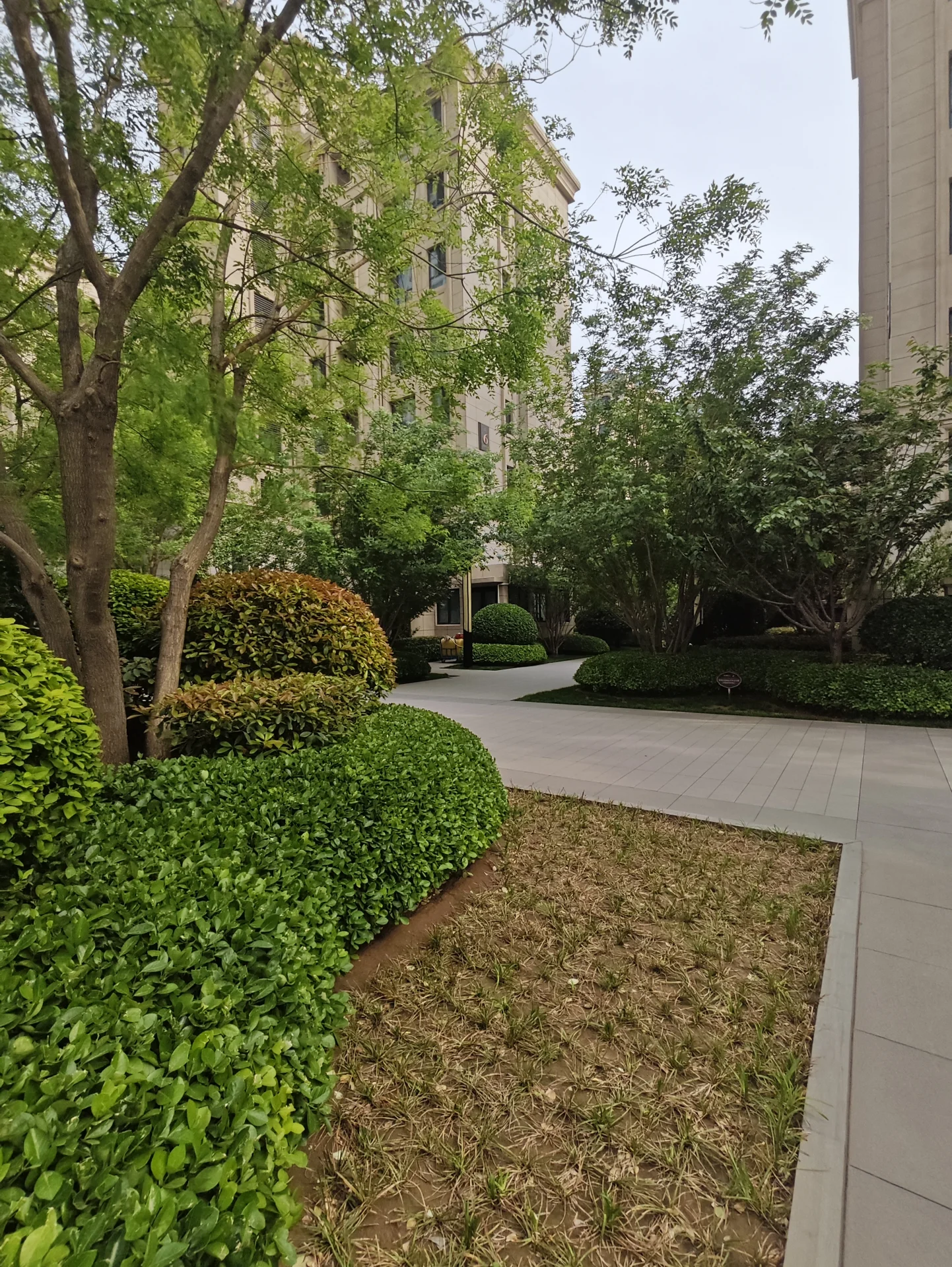 宽敞的城市街道，两侧是高耸的现代建筑。人行道两旁绿树成荫，营造出宜人的步行氛围。铺好的步行道提供了一个安全的休闲空间。大窗户让自然光洒进室内，营造宁静和谐的环境。关键字:城市街道 高耸建筑 人行道 绿树成荫 现代建筑 自然光 宁静和谐