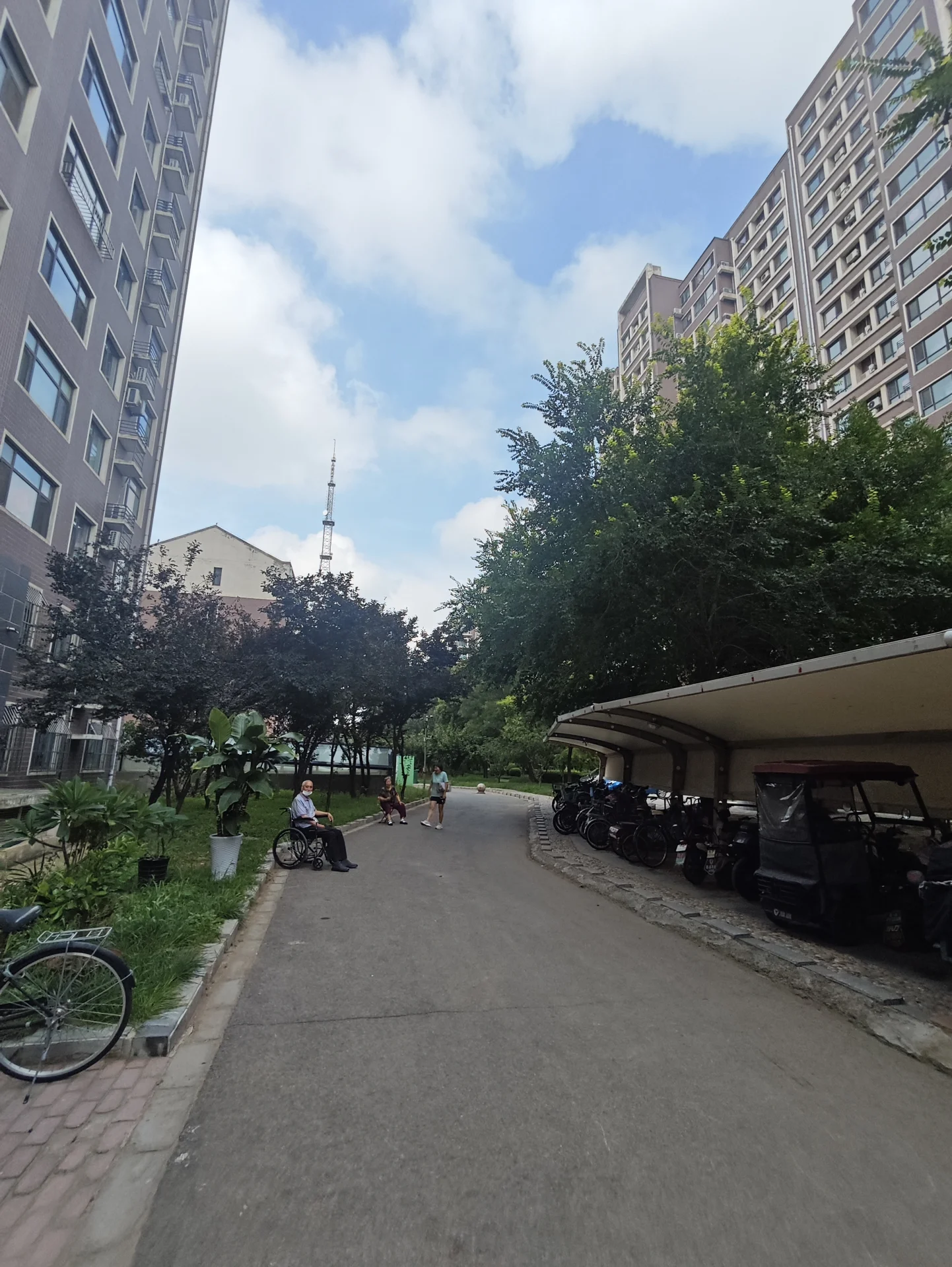 高层住宅楼的立面占据画面两侧，街道中央有铺设的道路和茂密的绿化带，整体呈现典型的城市社区建筑外观，氛围宁静且具有居住属性。