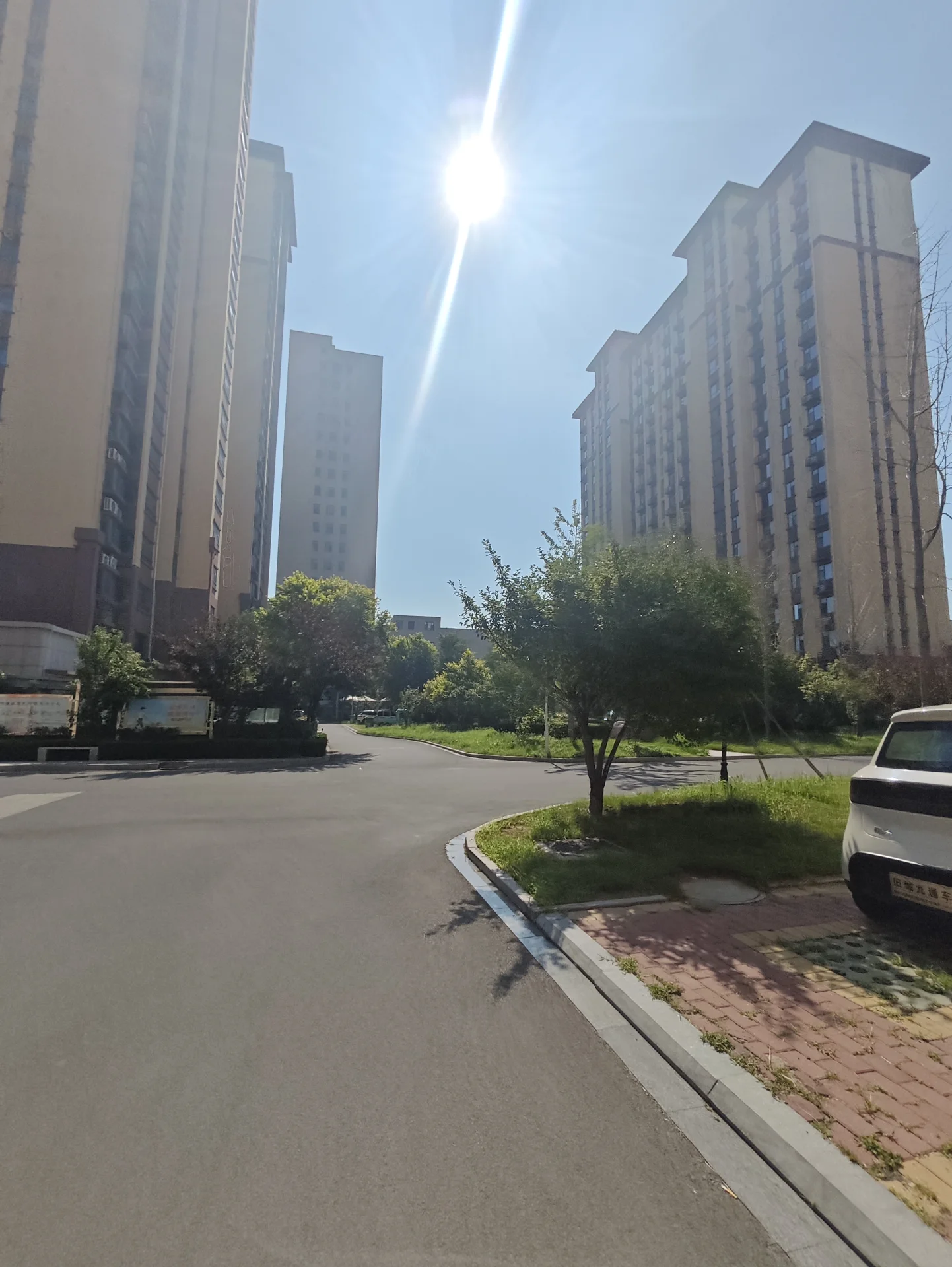多栋高层住宅楼的外部立面清晰可见，建筑风格统一，周围有绿化带和街道，整体呈现出城市住宅区的建筑景观。