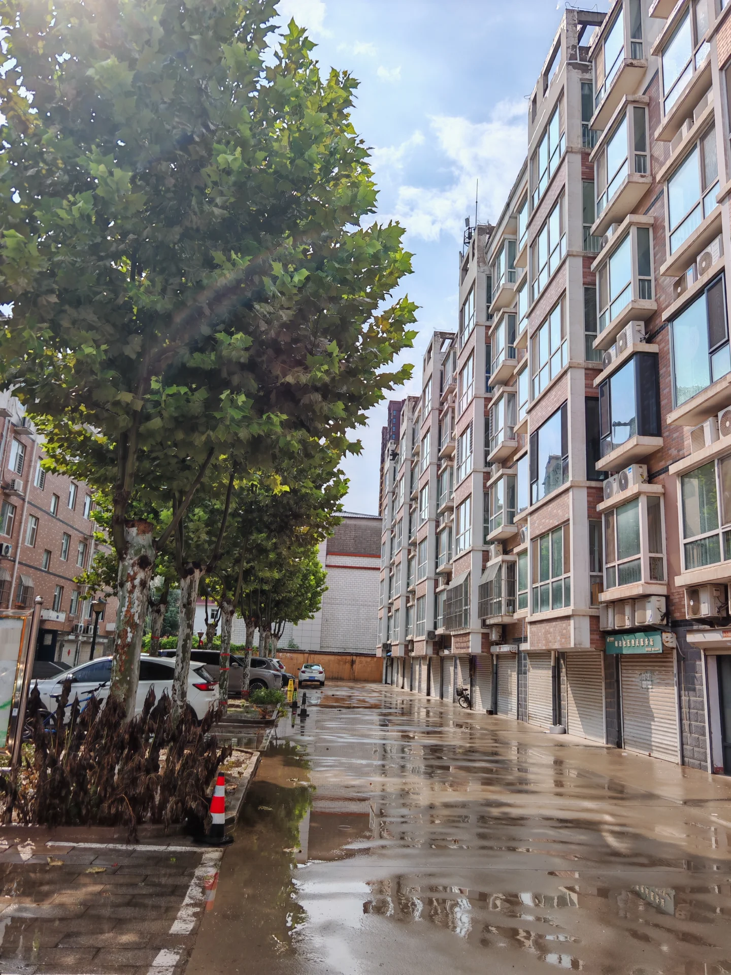 一排多层住宅楼的外部立面，建筑风格现代，立面材质为浅色调，周围有茂密的树木和停放的车辆，整体呈现出城市社区的居住氛围。