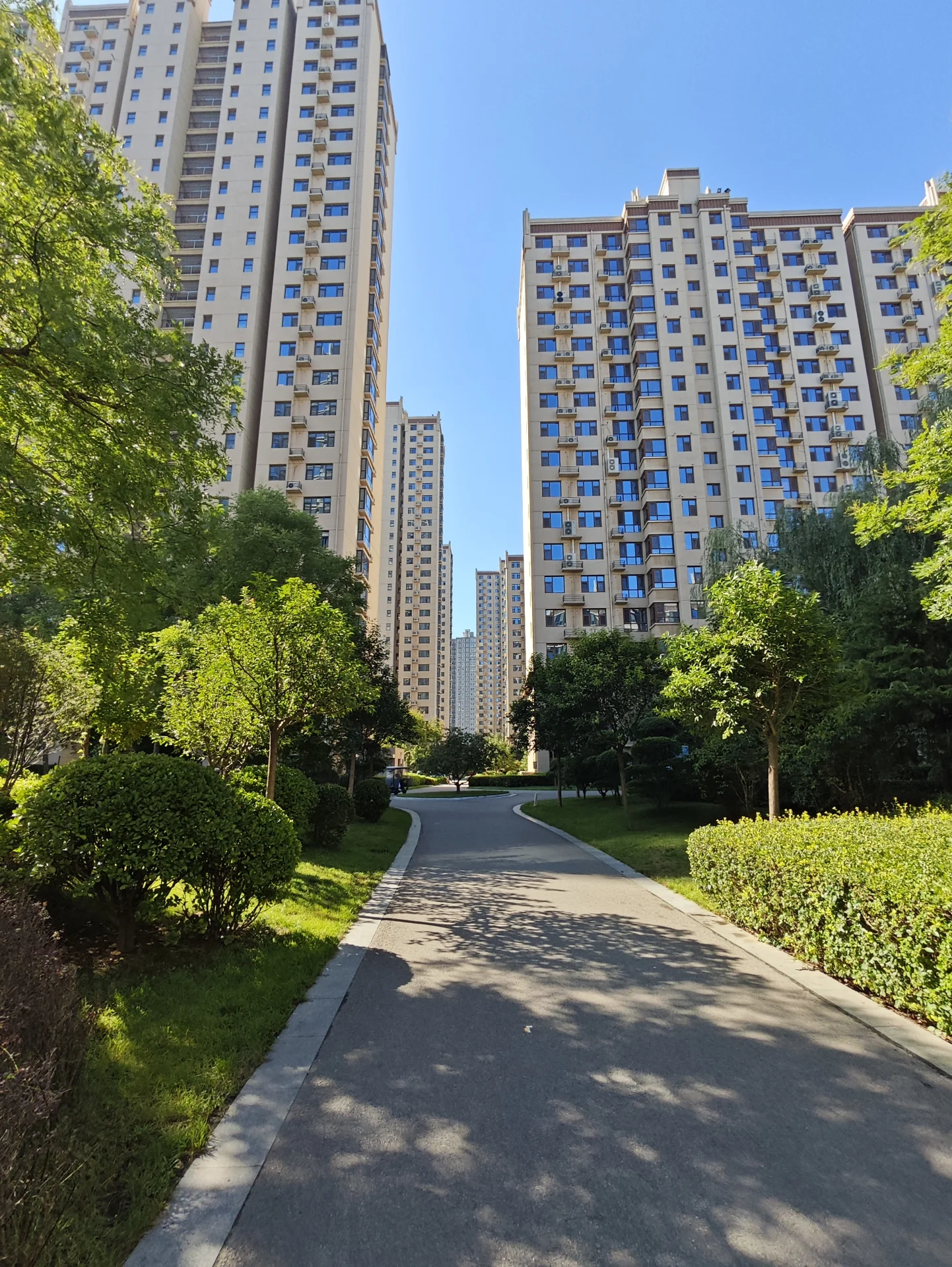 一条蜿蜒的柏油道路穿过绿化带，两侧是高层现代风格住宅建筑，环境整洁，整体呈现宁静和谐的城市居住氛围。