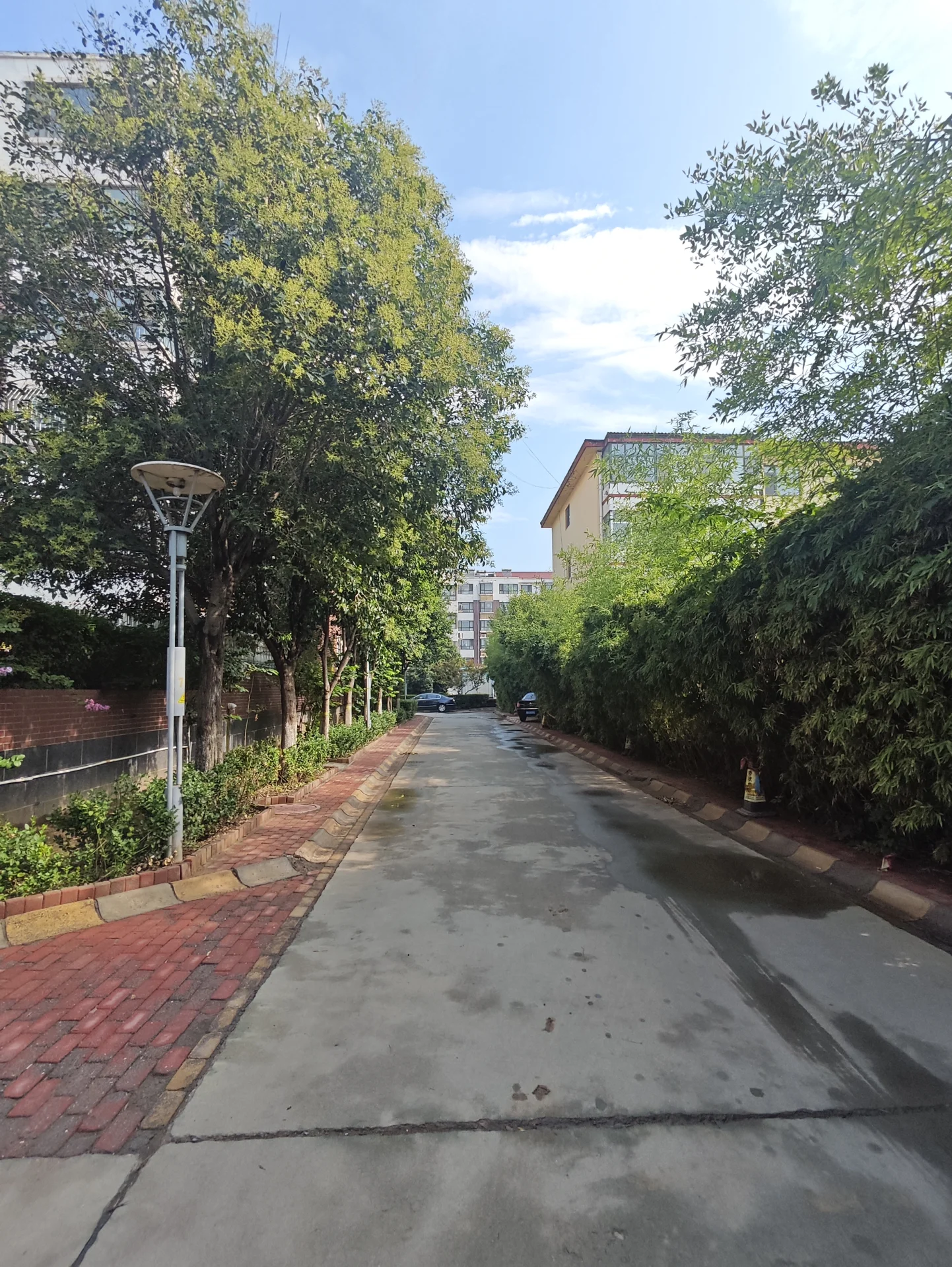 一条城市街道的景象，两侧是茂密的树木和低层建筑，道路平坦，天空晴朗，展现出宁静的城市远景和自然绿化交织的城市景观。
