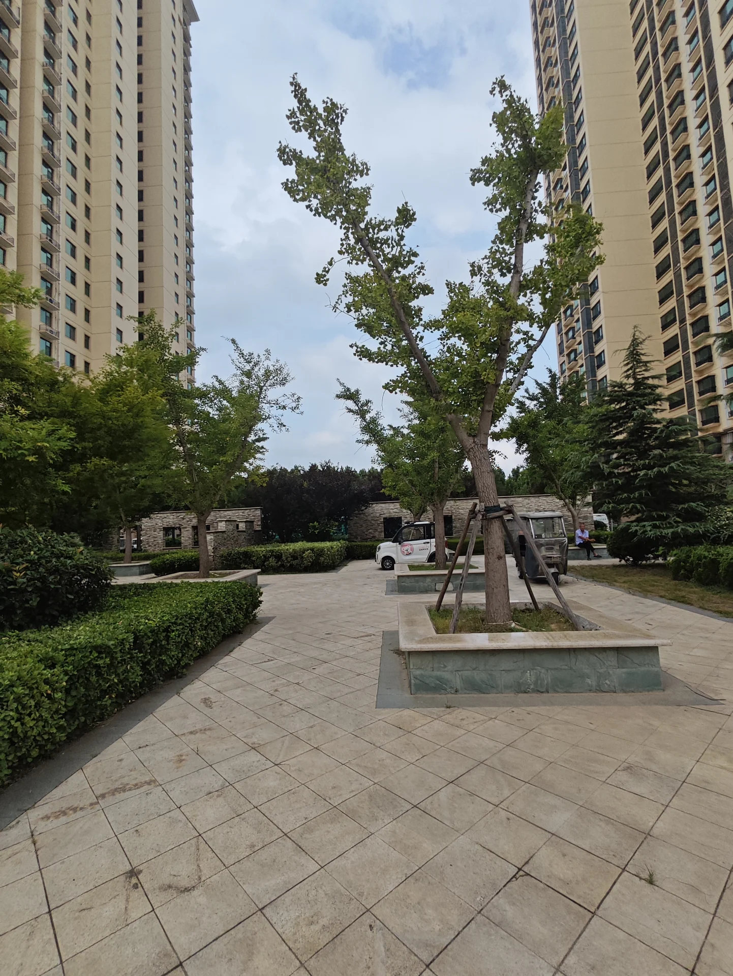 高层住宅楼的外部立面清晰可见，建筑主体呈浅色调，周围环绕着修剪整齐的绿植和公共景观，整体呈现出社区宁静和谐的居住氛围。