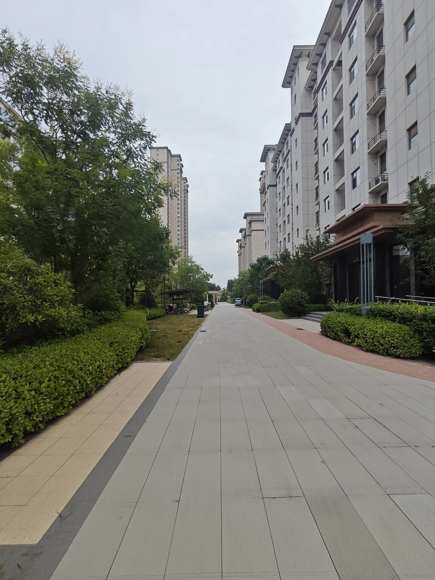 一排高层白色住宅楼的外部立面，建筑立面整洁，周围有修剪整齐的绿化带和街道，整体呈现出社区住宅的宁静和谐氛围。