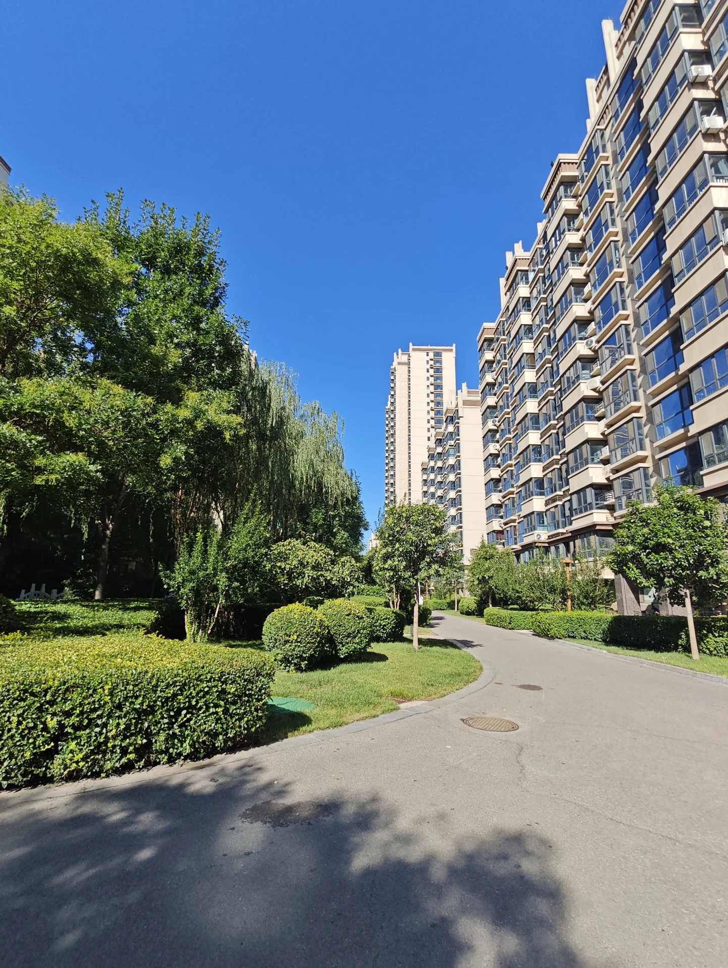 一条蜿蜒的柏油道路穿过绿化带，两侧是茂密的树木和高层住宅建筑。天空晴朗，整体环境绿意盎然，展现出宁静和谐的居住氛围。