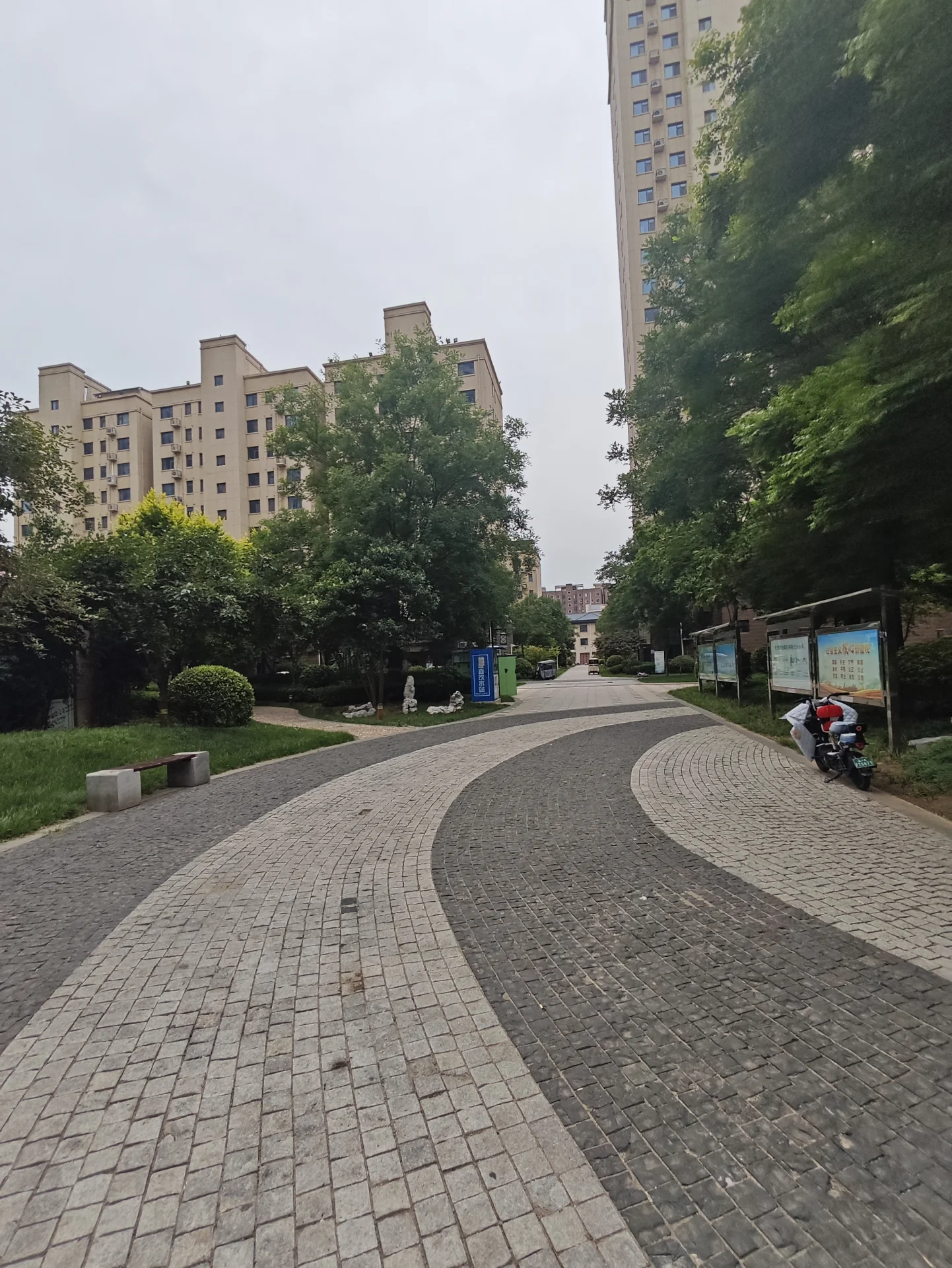 城市街道的外部景观，前景是铺设了不同纹理的道路，两侧是茂密的树木，背景是多栋高层住宅楼的立面，整体呈现出城市社区的外部环境和居住氛围。
