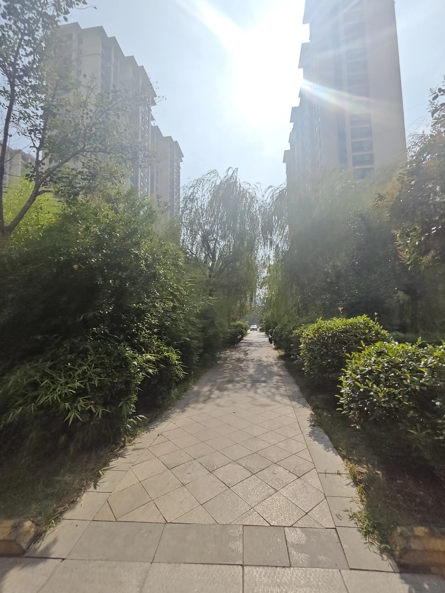 高层住宅楼的外部立面清晰可见，街道两侧是茂密的绿化带，整体呈现出社区建筑与自然环境和谐共存的宁静氛围。