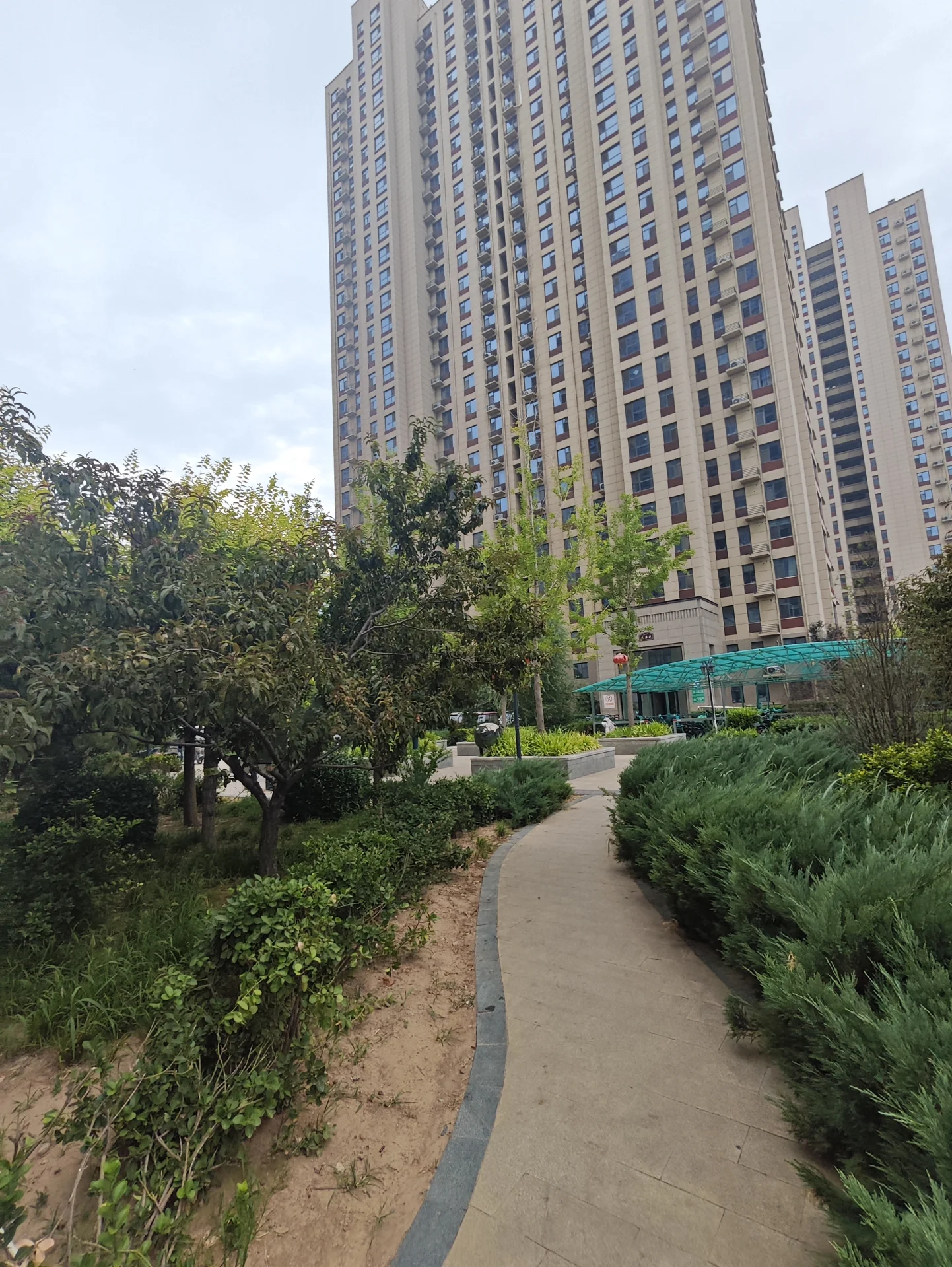 高层住宅楼的外部立面清晰可见，建筑风格现代，周围环绕着茂密的绿化带和一条平整的步道，整体呈现出一种宁静、宜居的社区环境氛围。