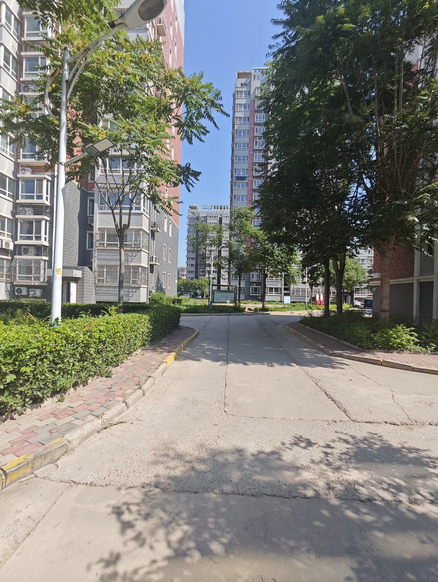 一张城市街道的照片，街道上有一条人行道穿过。街道两边有树木，两侧有几栋建筑。气氛看起来平静而宁静，因为树木的存在为城市环境增添了一种自然元素。建筑物的高度和设计各不相同，形成了一个多样且有趣的都市景观。街道上没有行人，让这个场景有一种宁静和寂静的感觉。