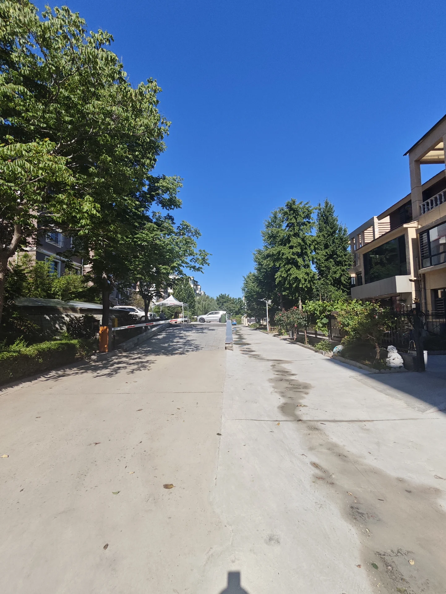 安静街道，人行道上有人行走，道路两侧停有几辆车，整体氛围平静和谐。