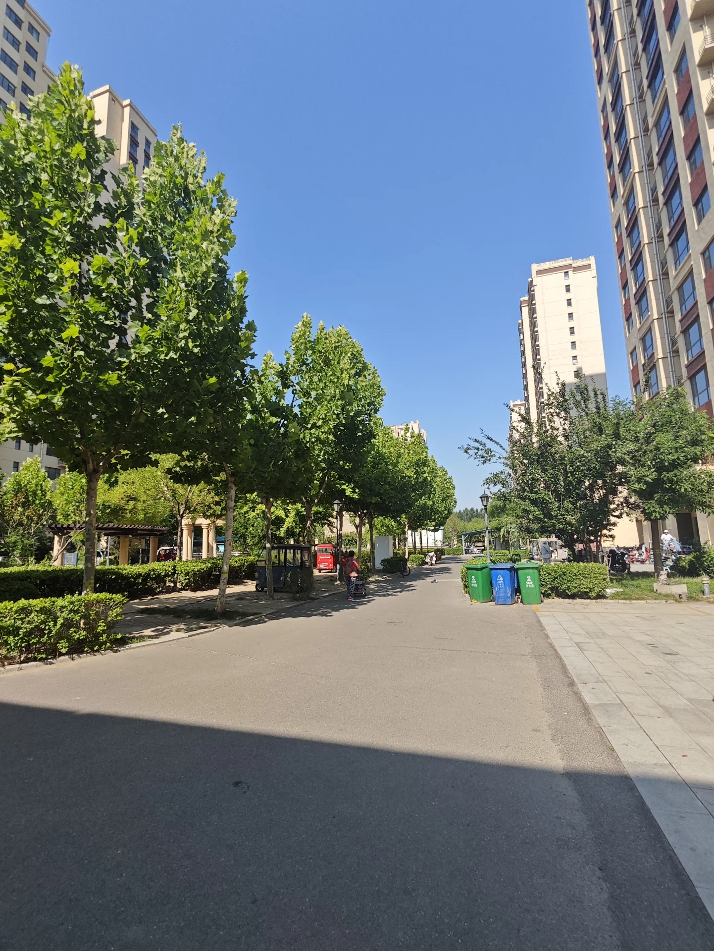 高层住宅楼的外部立面清晰可见，街道两旁有茂密的树木和绿化带，整体呈现出城市社区的宁静和谐的居住氛围。