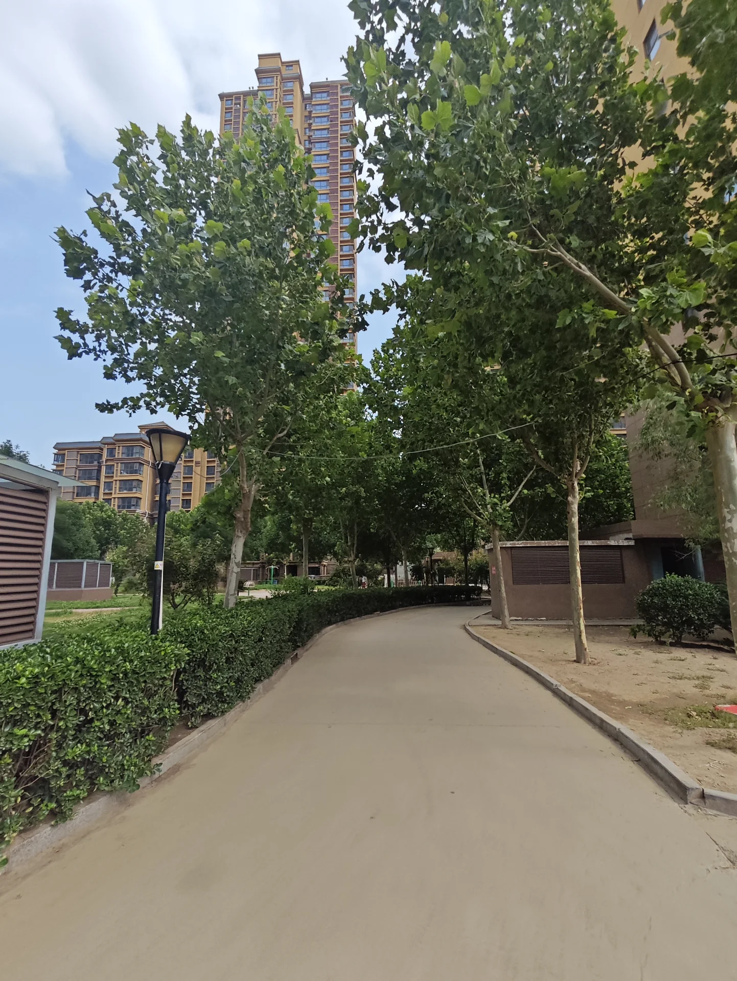 街道住宅区，建筑为棕色外墙和白色墙面，周围树木增添自然气息，氛围宁静和平。街道空旷。