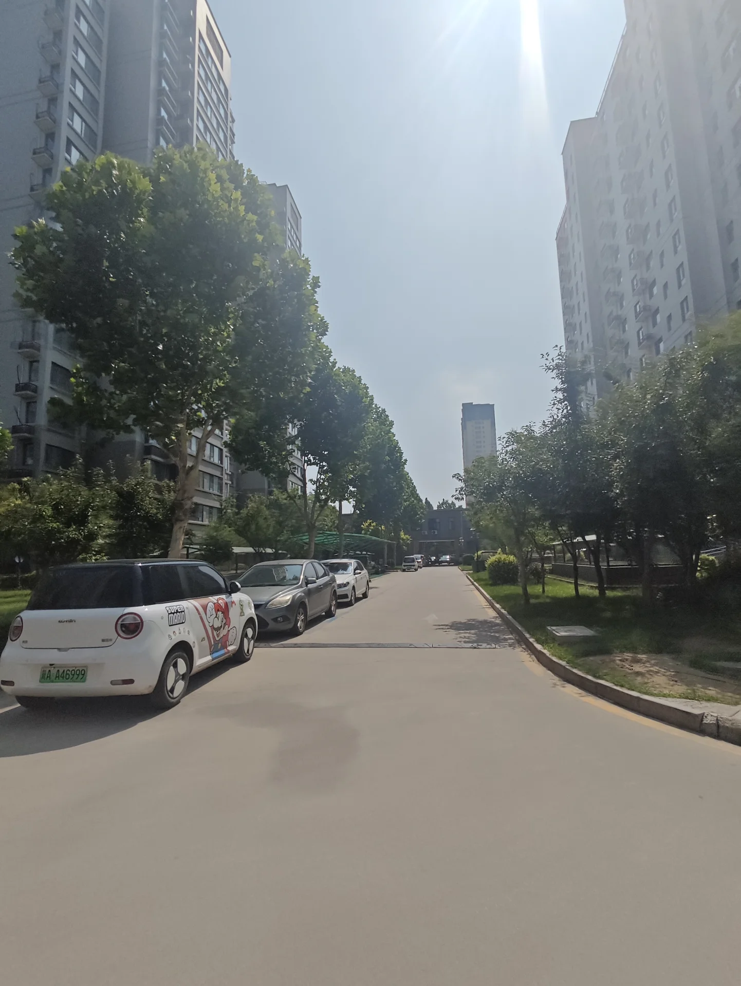 图片展示了一条城市街道，两侧是高耸的现代住宅楼。街道两旁有茂密的树木和绿化带，整体呈现出城市居住环境的景象，氛围宁静且具有现代都市感。