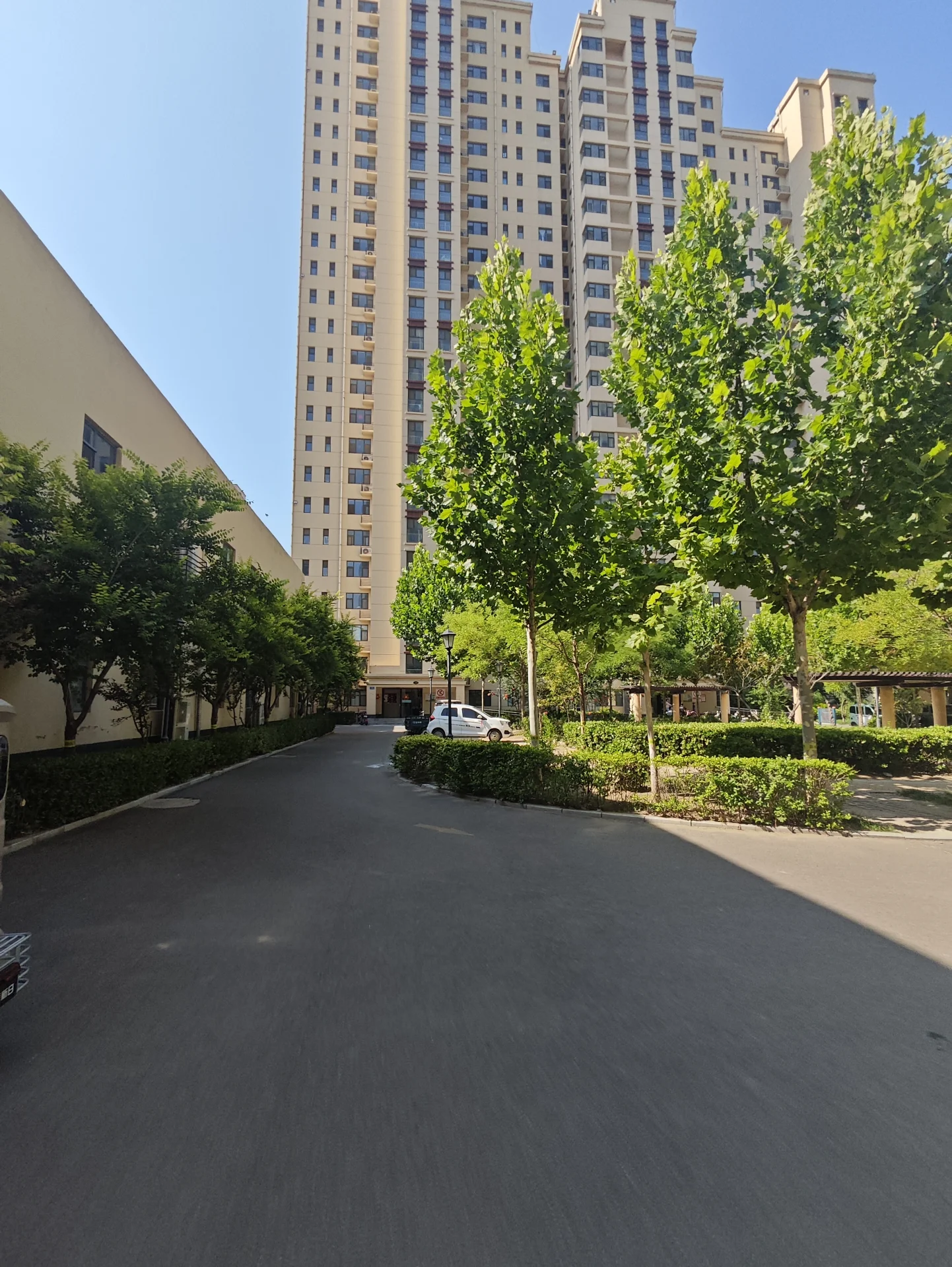 多栋高层住宅楼的外部立面清晰可见，建筑风格统一，周围环绕着茂密的绿化带和树木，整体呈现出宁静、宜居的社区氛围。