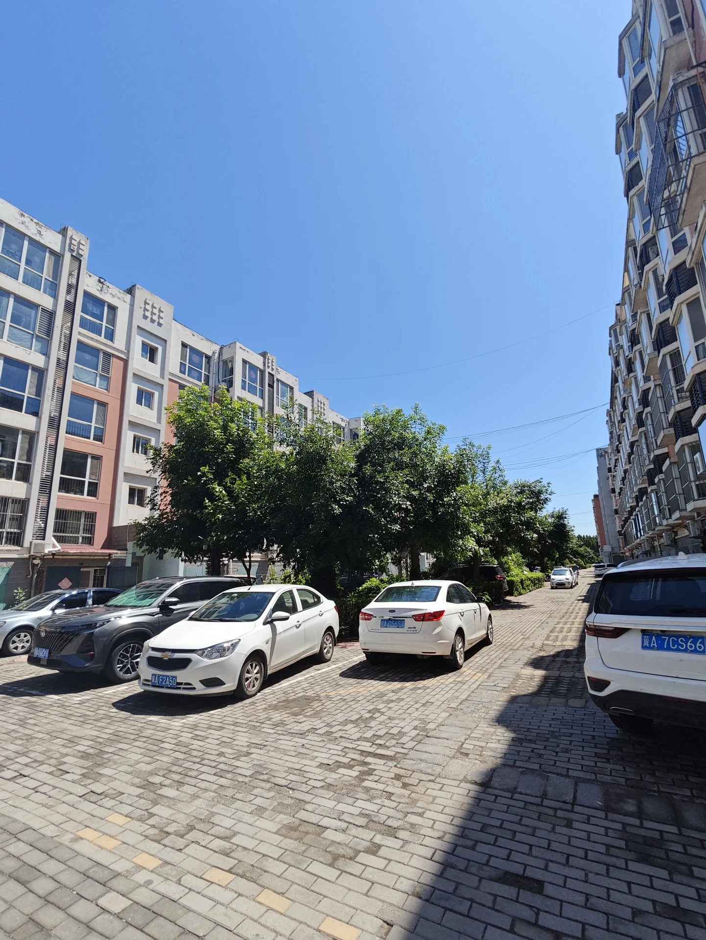 停车场，有白色和蓝色汽车，前临一栋楼群，天空晴朗