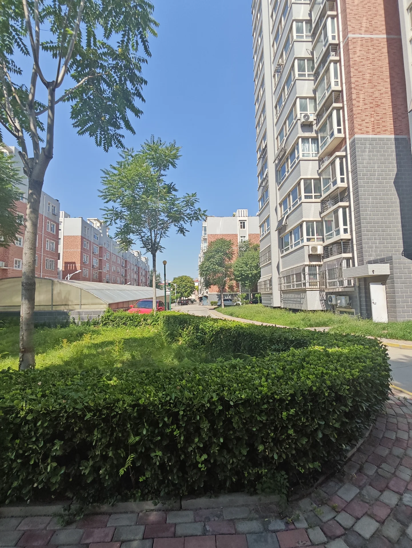 多层砖砌建筑，第二层有窗户，周围环绕着一片绿草，前景中可见一棵树。这个场景传达出一种宁静和安详的感觉，建筑物与绿色植被和谐平衡。前景中的树增加了自然元素，增强了城市环境的整体氛围。