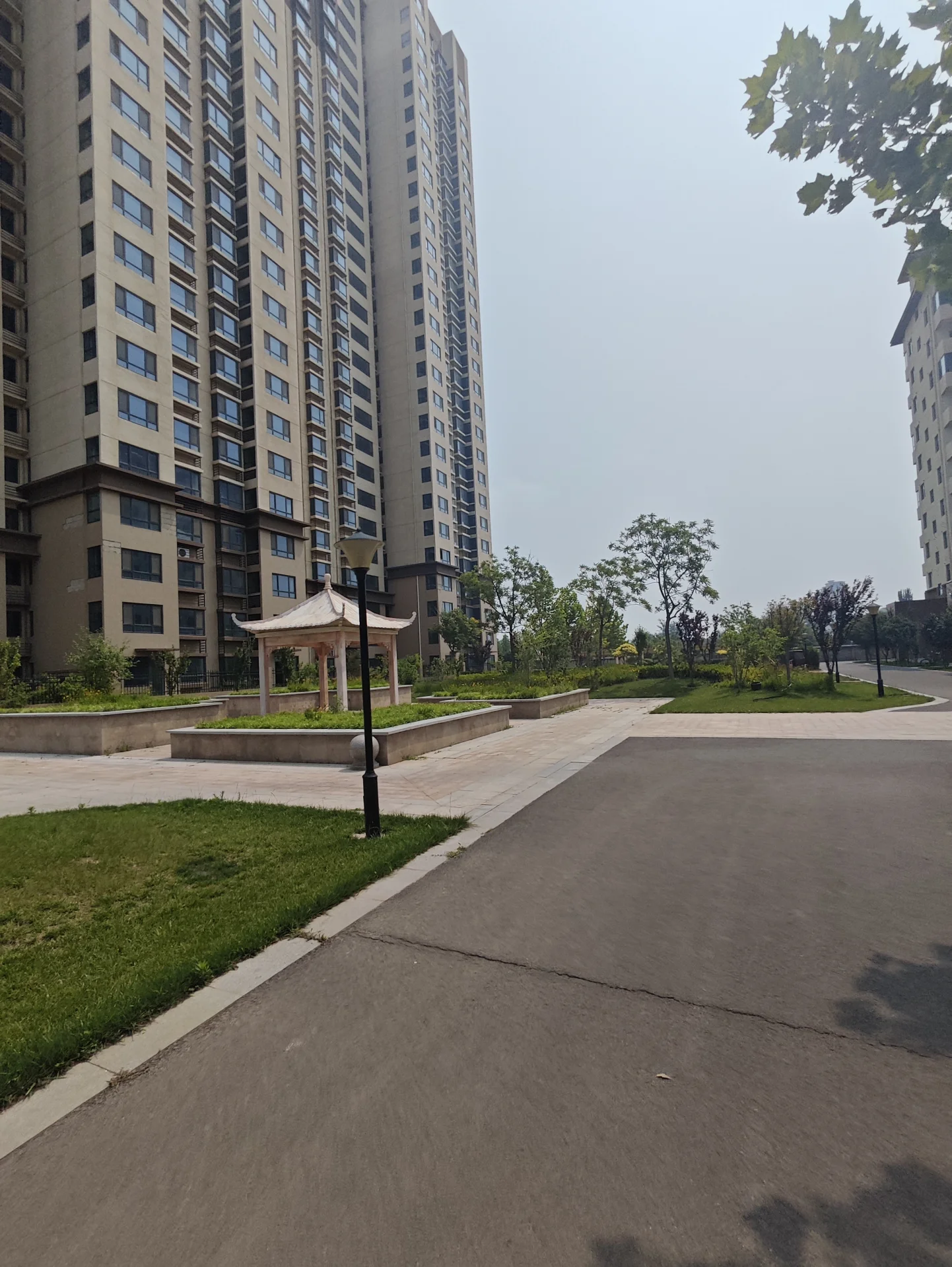 高层住宅楼，道路旁有修剪整齐的草坪和绿植，背景是更多的建筑和树木，营造出宁静、有序的居住氛围。