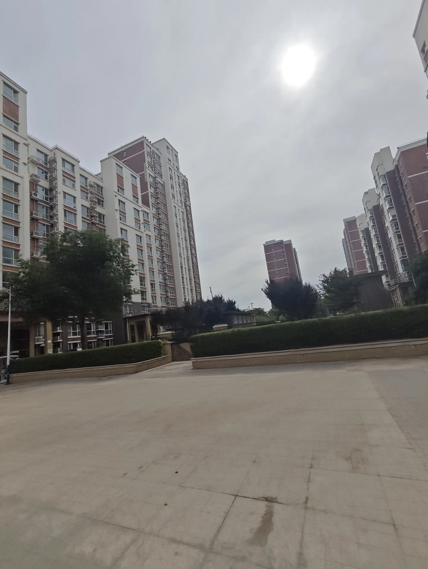 多栋高层住宅的外部立面清晰可见，建筑主体呈现现代风格，周围有绿化带和公共区域，整体展现出城市社区的居住环境。