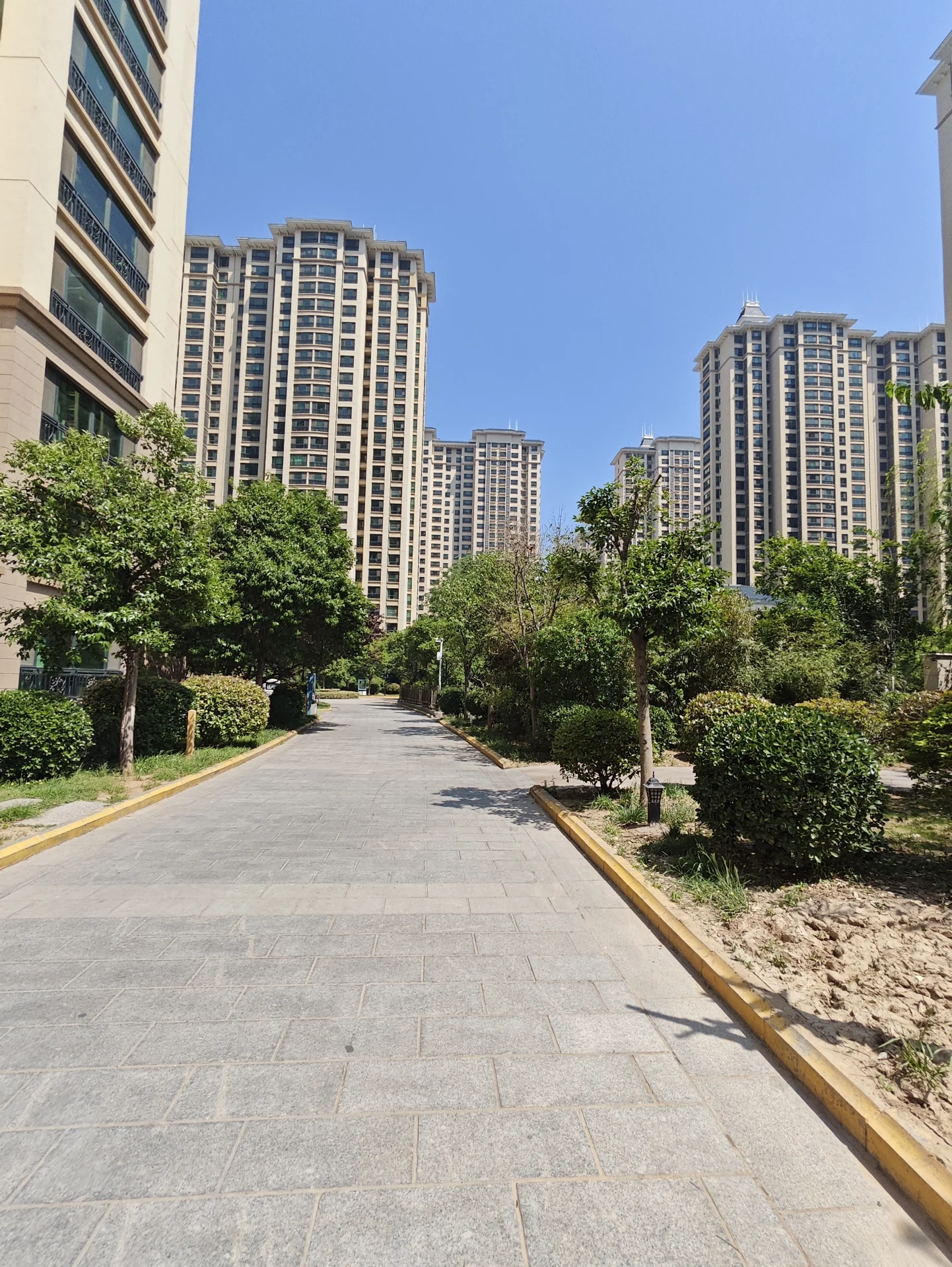 {vibe:城市中的一条宁静街道，高楼林立，现代建筑风格，大玻璃窗和露台，空旷而宁静。,关键字:城市街道 高楼 现代建筑 玻璃窗 露台 宁静