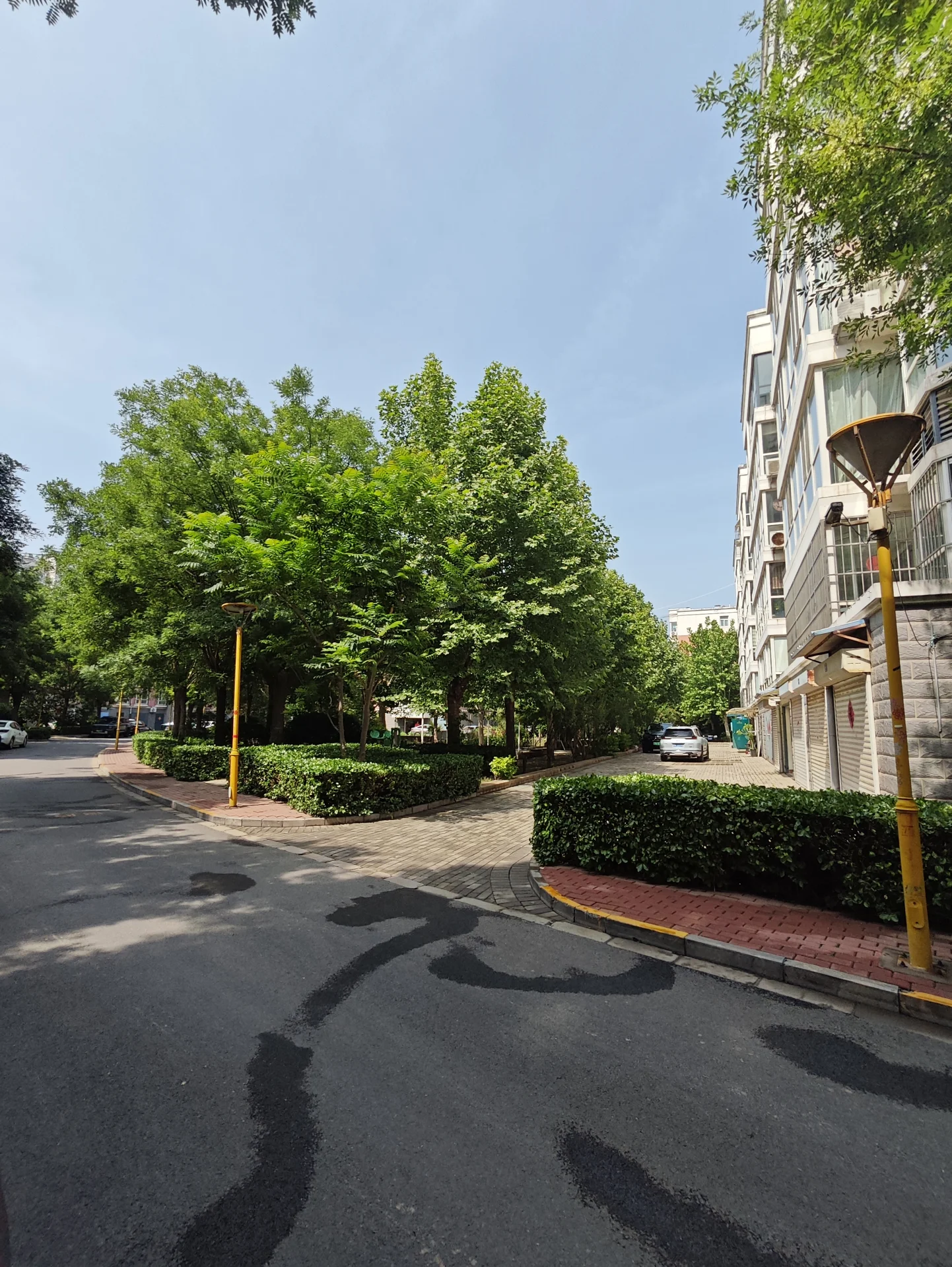 图片展示了一条安静的街道，人行道沿着街道延伸。街道两侧有树木，背景中可见建筑。人行道上有路灯，街道上停放着汽车。整体氛围平静而宁静，融合了自然与城市元素。关键字:街道, 人行道, 树木, 建筑, 路灯, 汽车