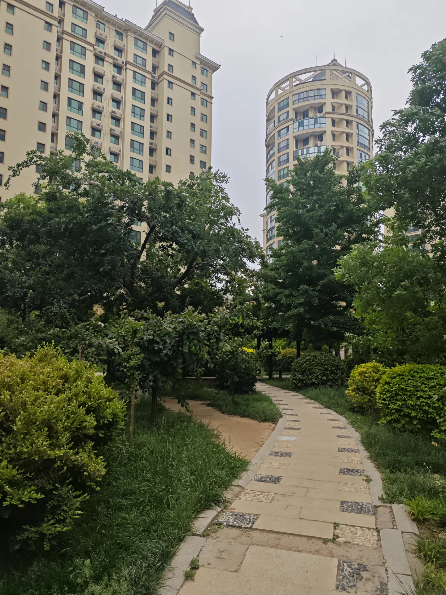 宁静的公园氛围，绿树成荫，白色建筑错落有致，现代感十足，是城市中的避风港。关键字:公园 树木 白色建筑 现代风格 宁静氛围