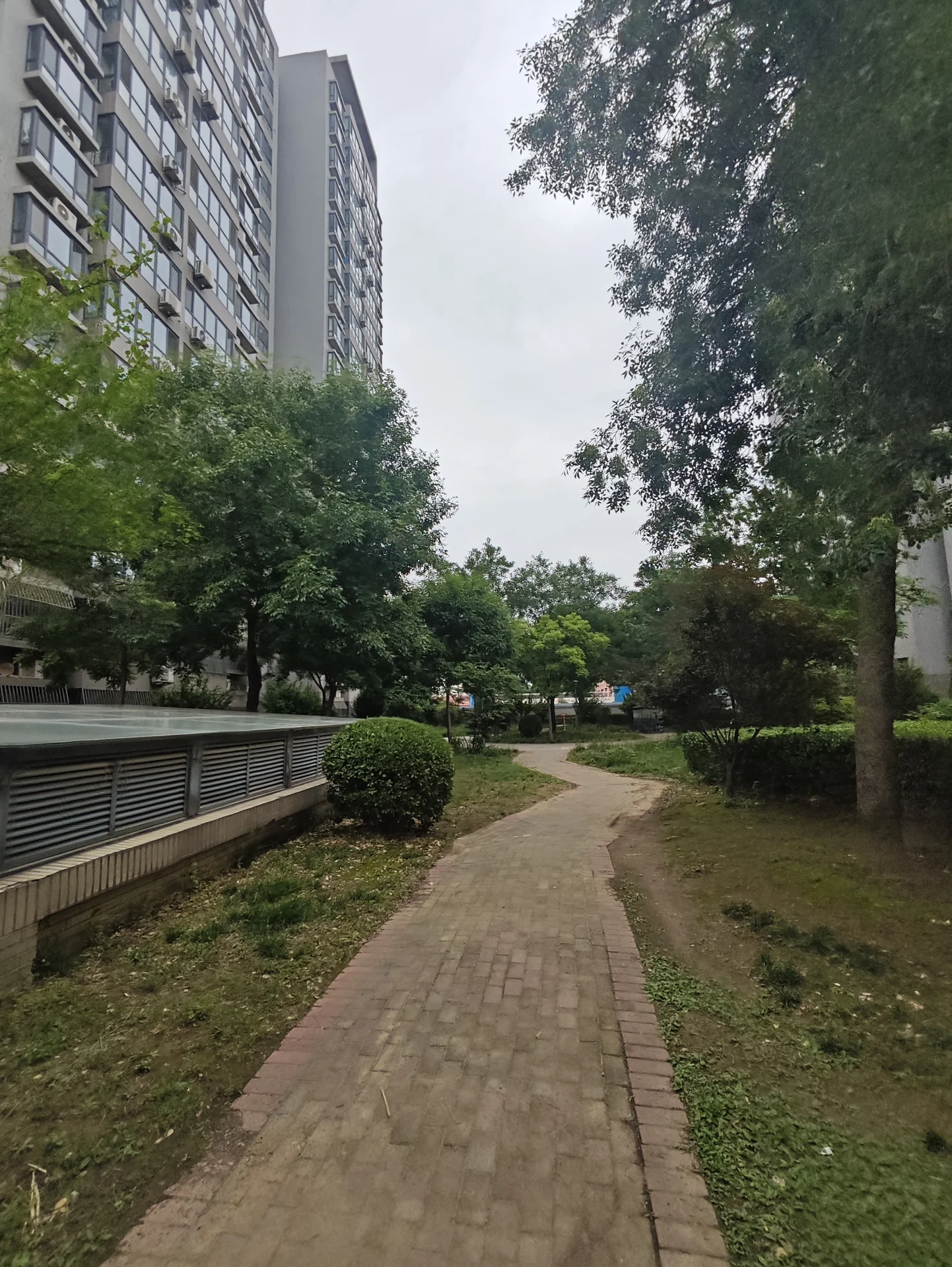 砖砌的公园小径周围环绕着树木和绿色植被，小径位于两栋建筑物之间，营造出宁静的氛围。公园看起来空无一人，没有其他物体或人物在画面中。砖砌的小径是图像的主要焦点，树木和绿色植被提供了一个自然的背景。