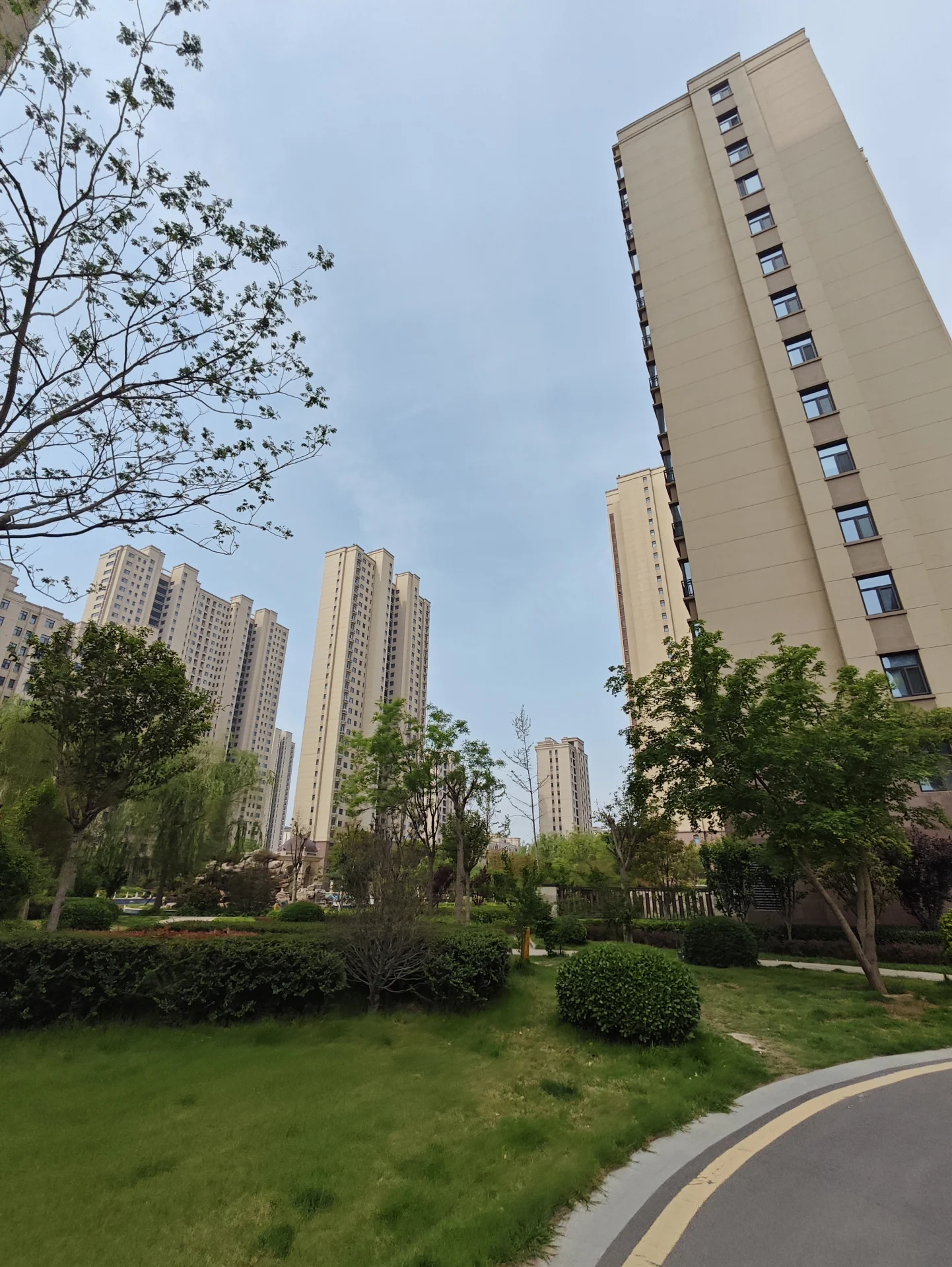 城市街道，高-rise建筑，公寓和办公空间，绿树成荫，宁静祥和，现代建筑风格混搭，维护良好，绿色环境。关键字:城市街道 高-rise建筑 公寓 办公空间 绿树 宁静祥和 现代建筑风格