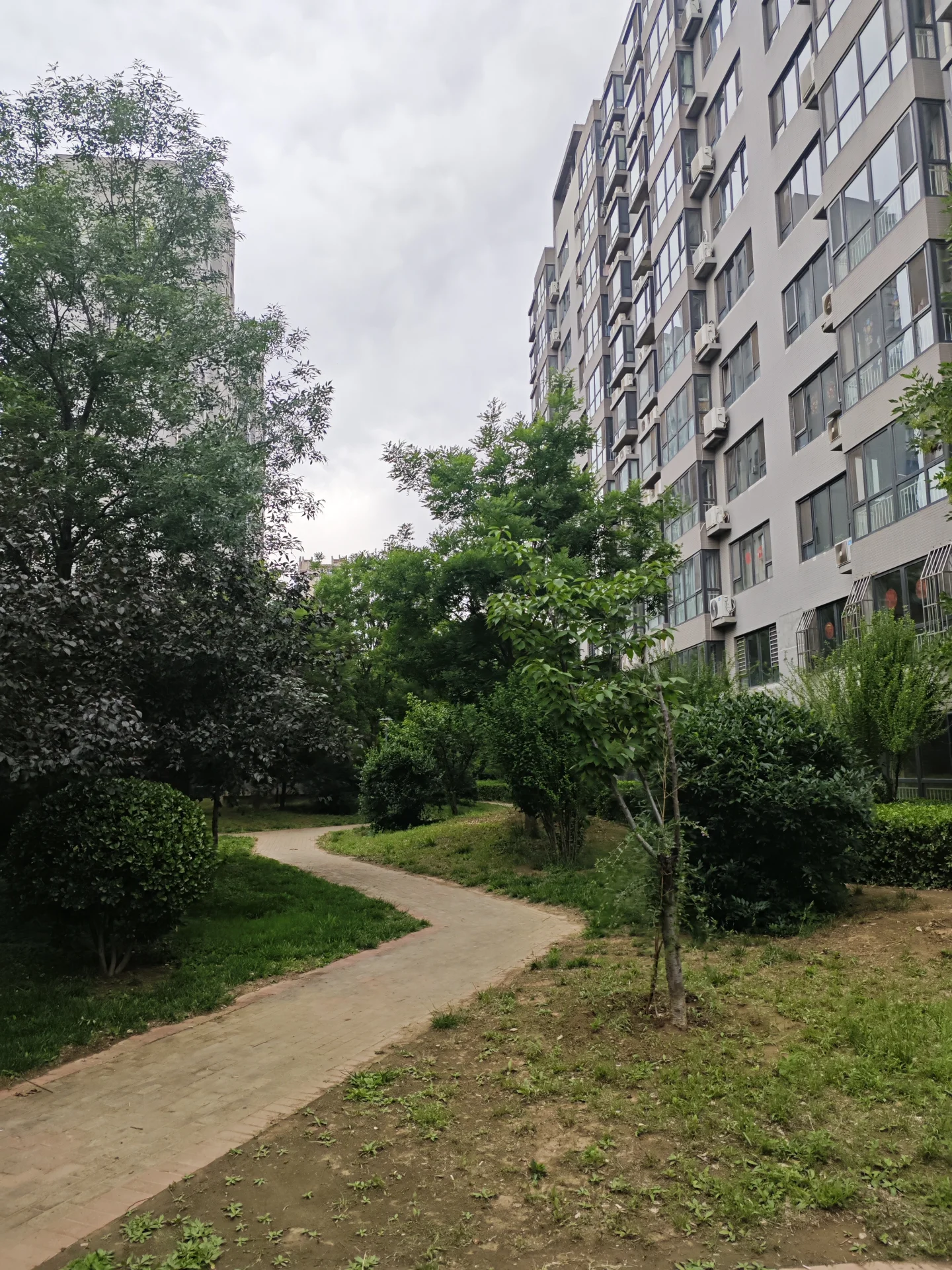 一幅宁静的公园场景，一条蜿蜒的小径环绕着茂盛的绿植。公园位于一栋高楼旁边，形成了自然与都市环境的对比。氛围显得平静而宁静，树木和草地的加入增添了宁静的氛围。图片中的物体包括蜿蜒的小径、高楼和树木，共同营造出宁静而美丽的整体环境。