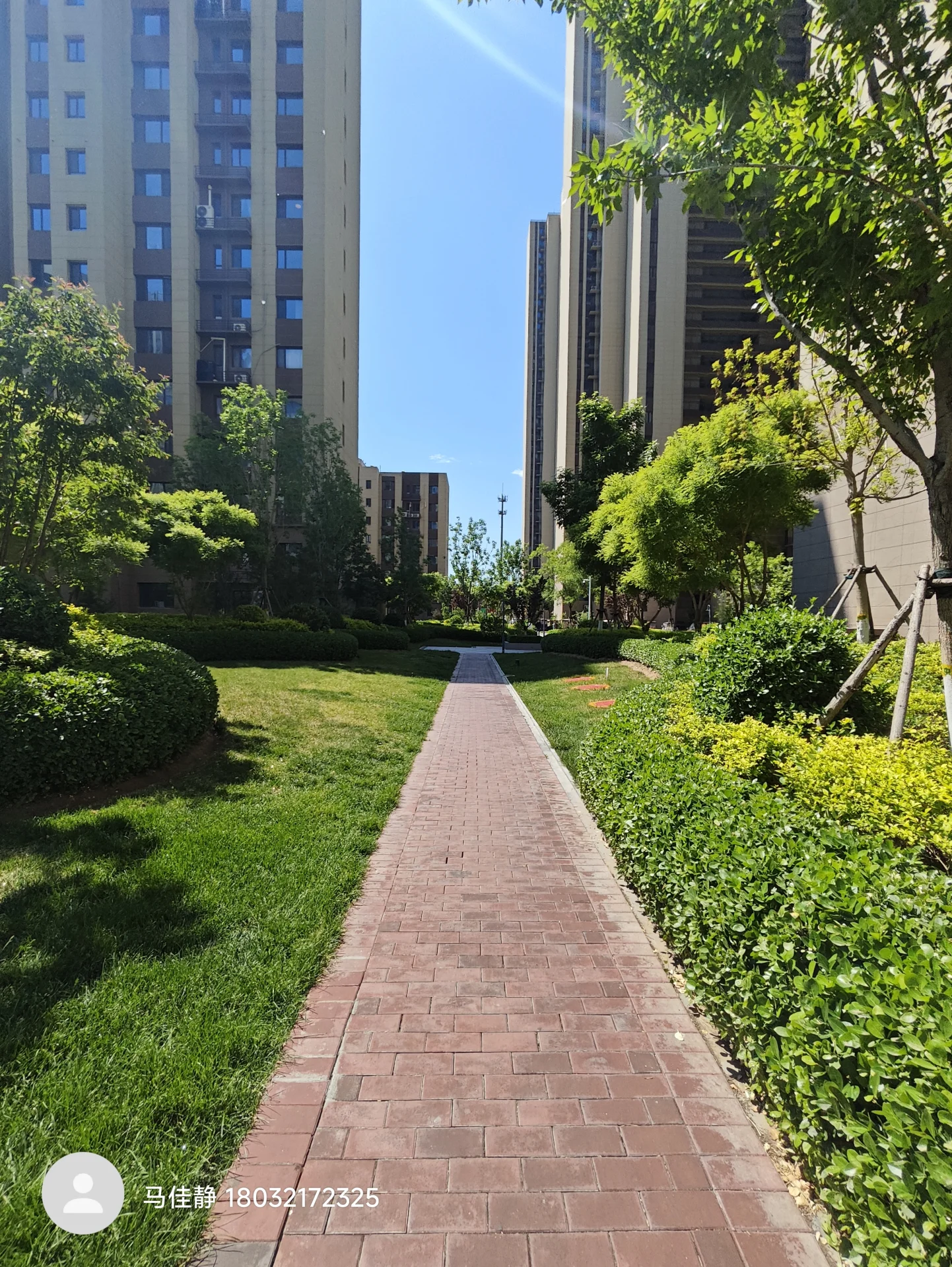 砖砌小径通往高大建筑，周围绿树环绕，氛围宁静，似休闲活动好去处。背景高大建筑增添城市气息。