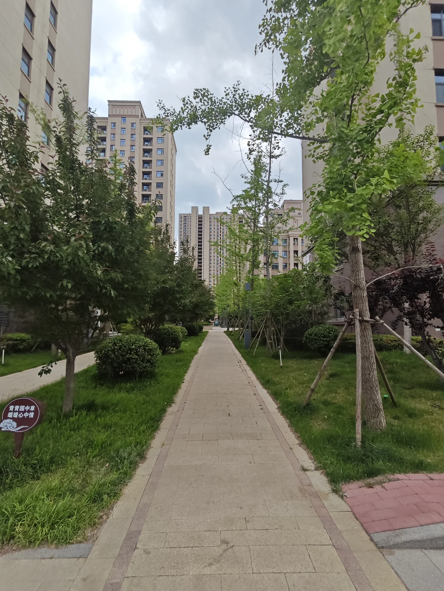 城市中心的树荫小径，高楼林立，宁静祥和，现代建筑大窗户和露台，自然与城市和谐共存。关键字:城市中心 树荫小径 高楼林立 宁静祥和 现代建筑 大窗户 露台 自然和谐