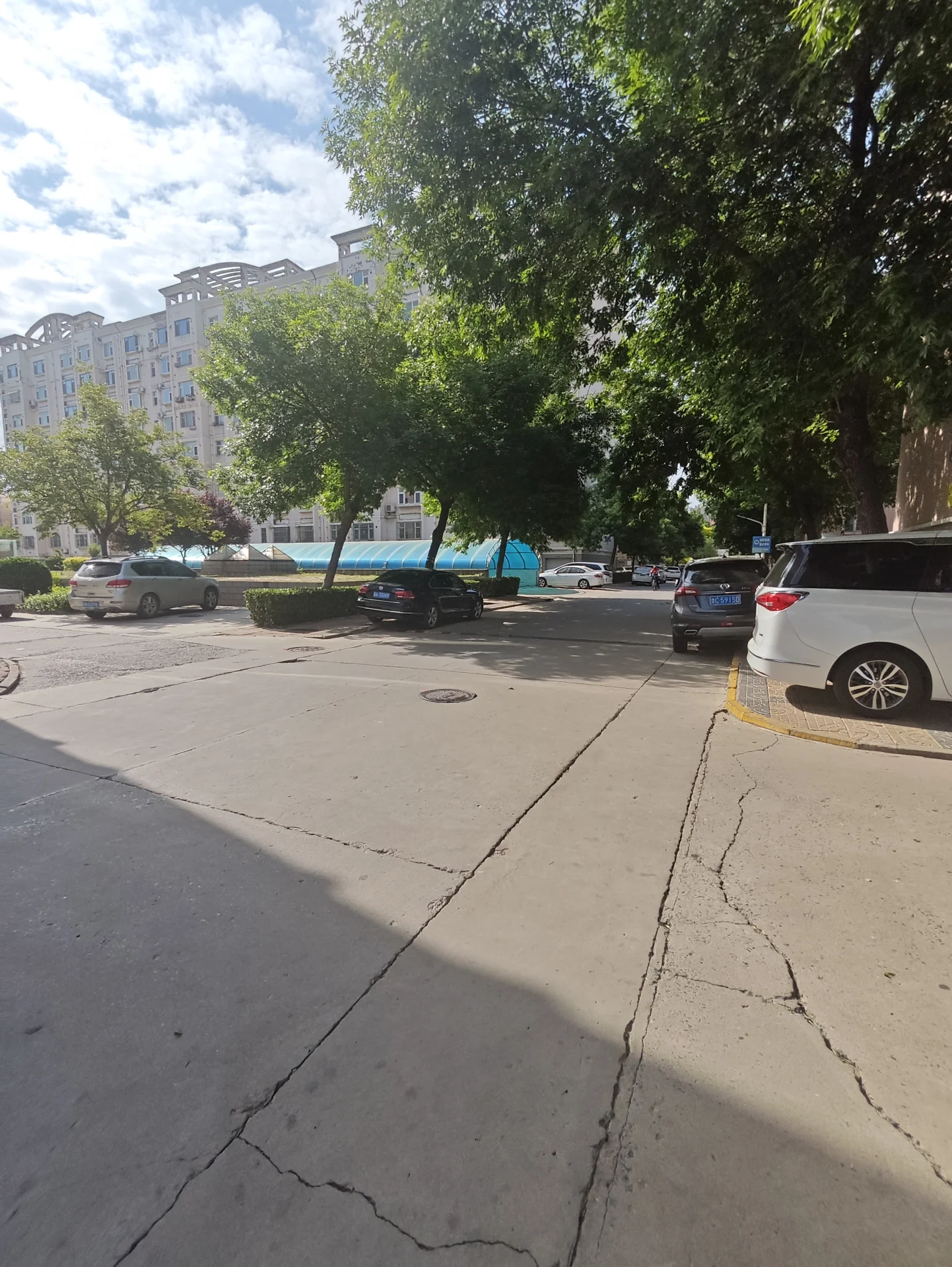 城市街道，车辆有序停放，树荫如盖，行人稀少，氛围宁静，建筑风格融合现代与传统。关键字:城市街道 车辆停放 树荫 行人稀少 宁静氛围 现代建筑 传统建筑