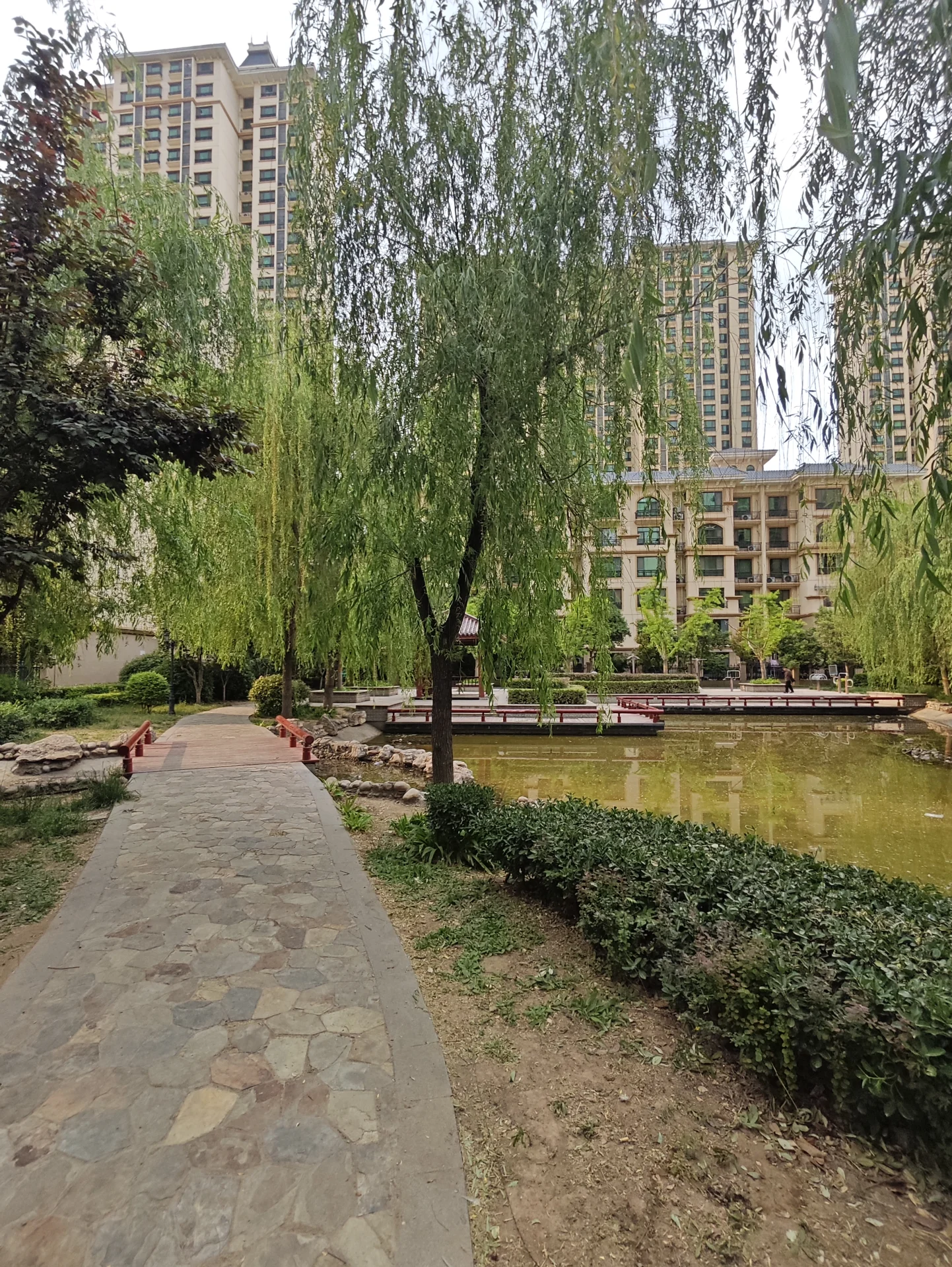 图片中的场景是一个被高大建筑环绕的公园，公园里有一条通往池塘的小路。小路两旁有树木，为环境增添自然元素。池塘中有几艘船，增加了休闲放松的整体氛围。长椅和盆栽植物进一步增强了公园的宜人和宁静氛围。关键字:公园、小路、树木、池塘、船只、长椅、盆栽植物