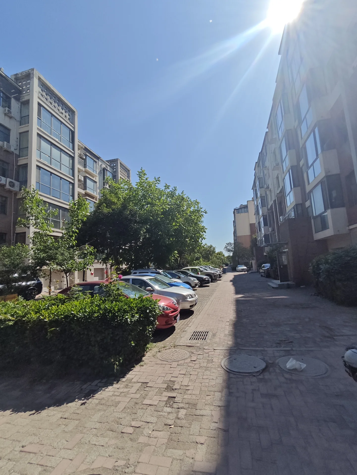 城市街道，几辆汽车停靠路边，背景有树木和建筑，营造出 urb an氛围。街道目前显得较为安静，没有明显的交通或行人。建筑风格混合现代与传统，整体给人以典型的市井生活场景的感觉。关键字:城市街道 汽车 树木 建筑 urb an氛围 安静 混合风格