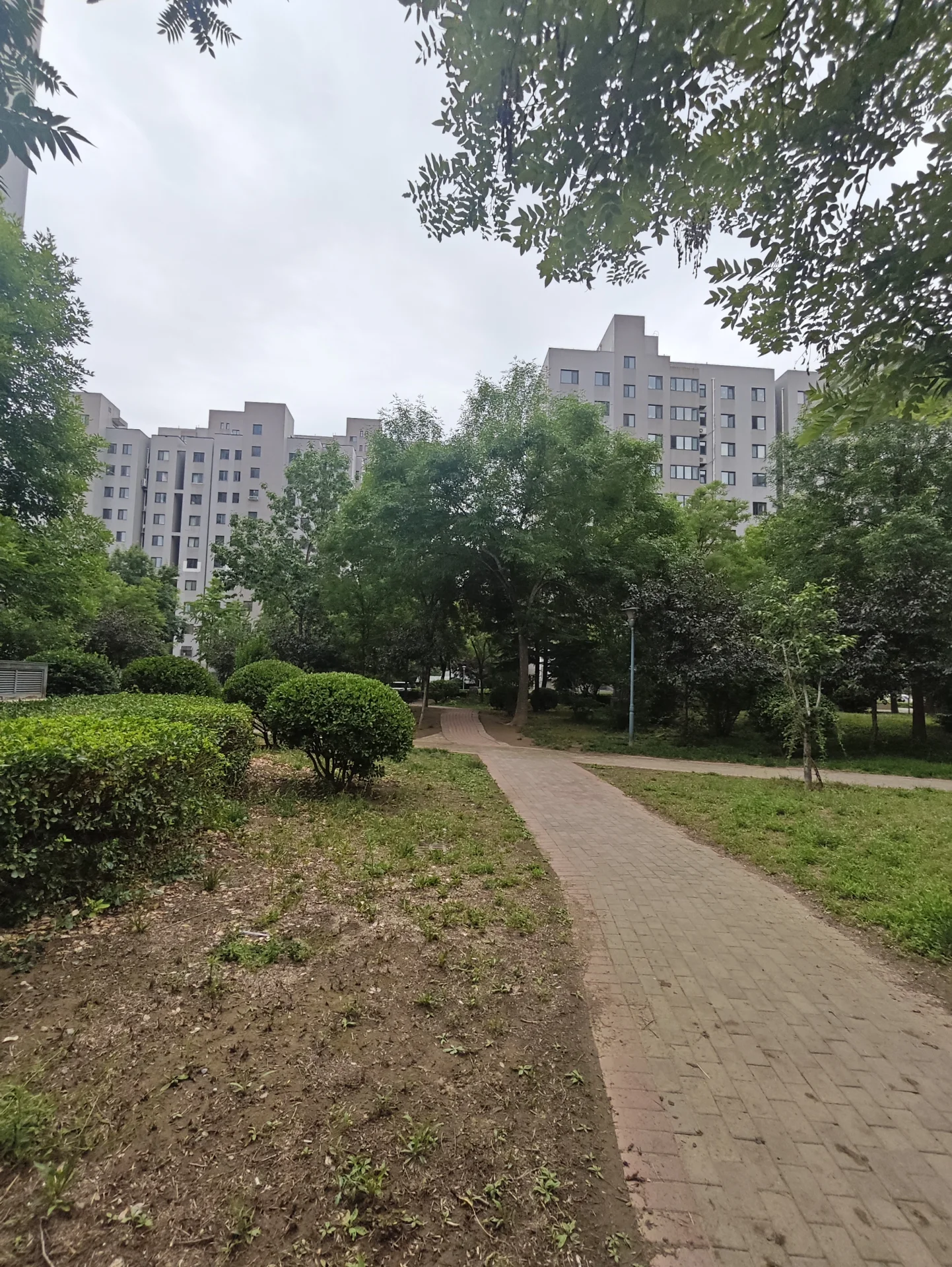 图片描绘了一个充满砖石小径的公园，公园周围是高大的建筑物，营造出都市氛围。天空多云，公园里的树木为场景增添了一抹自然元素。公园空无一人，没有人们可见，而砖石小径则是图像的主要焦点。