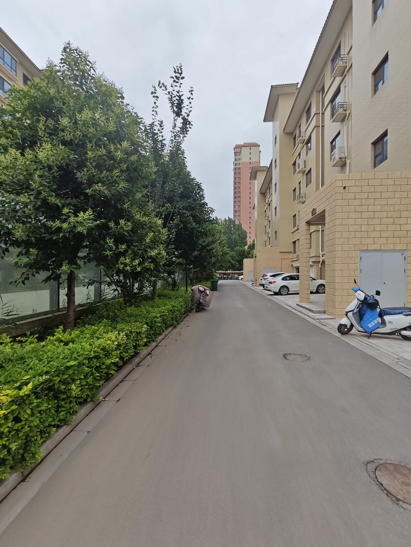 安静的住宅街，中心有条人行道。人行道上有两辆停着的汽车和一辆摩托车。街道两边有树木，背景中有栋建筑。天空是多云的，营造出一种宁静和平和的氛围。场景中的物体包括一辆汽车、一辆摩托车、一辆摩托车、一辆汽车和一辆摩托车。