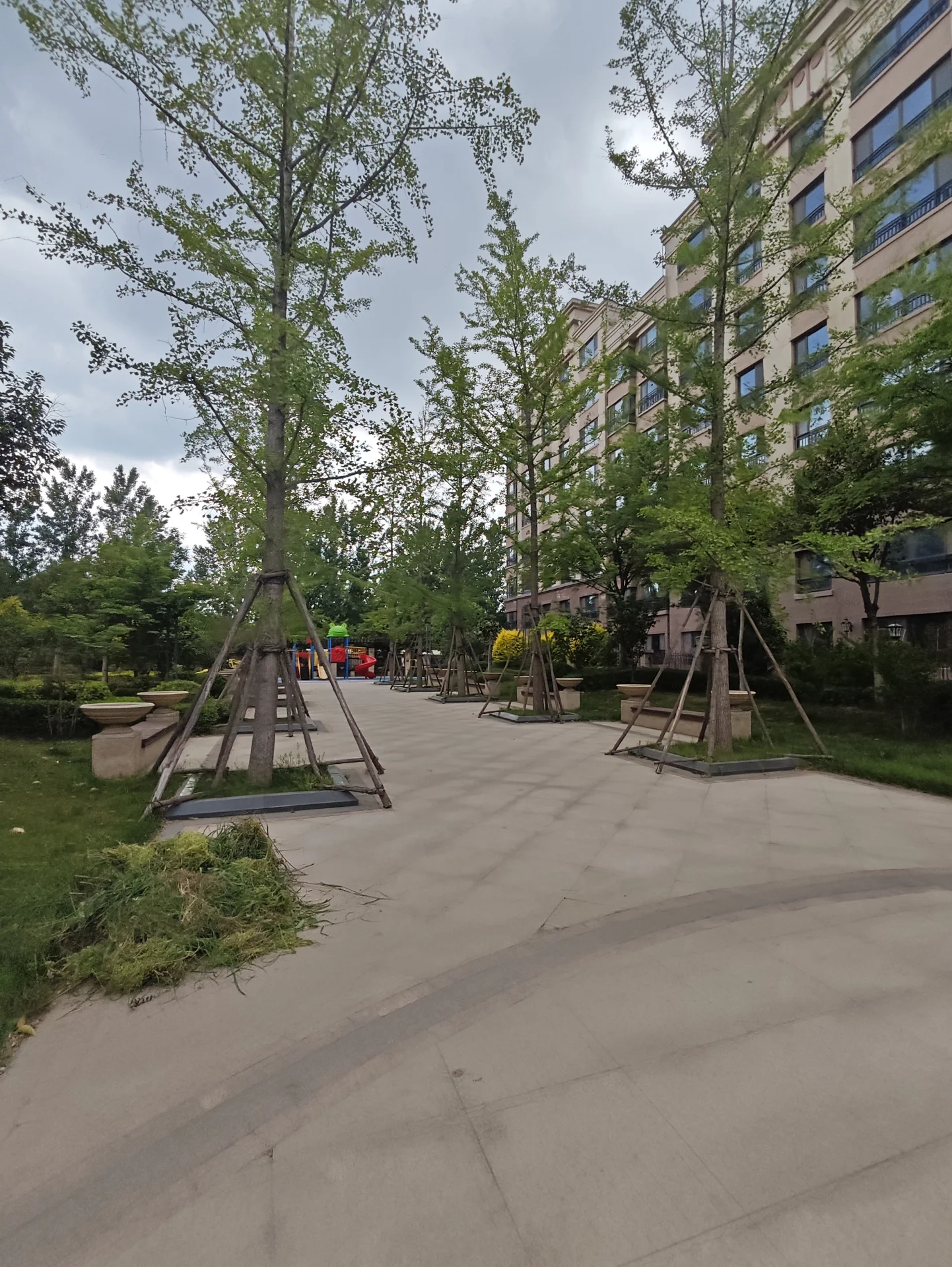 街道两旁绿树成荫，人行道上摆放着几排长椅，为行人提供休息之处。少数行人或站立或行走，整体氛围宁静安详。背景中可见建筑物，暗示该处位于城市或小镇。树木的加入使环境更加自然，更具吸引力。关键字:街道 树木 长椅 人行道 城市 小镇