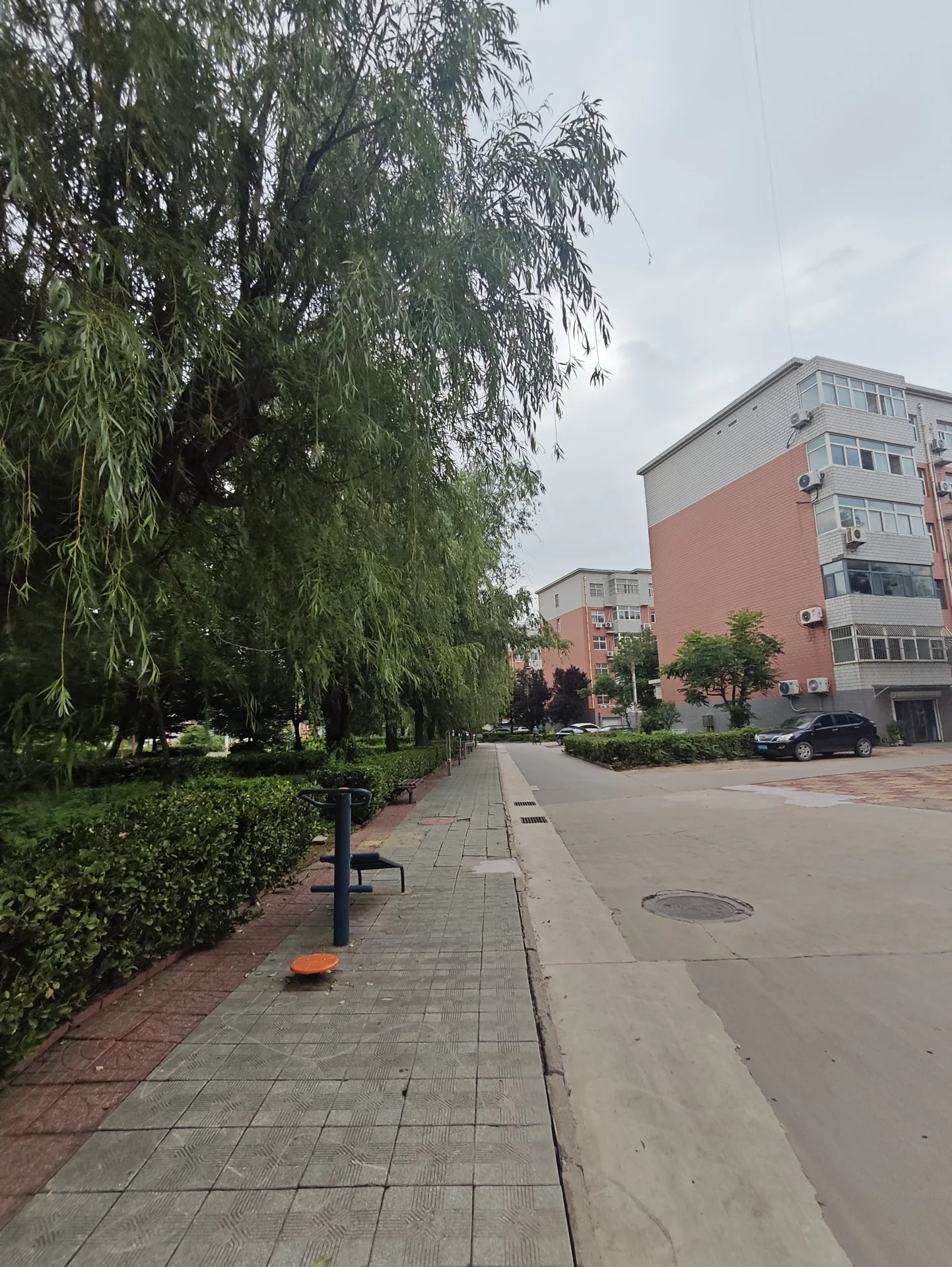 一幅城市街道图，街道上有一条人行道，人行道上有长椅和滑板。街道两边有树木，背景中有建筑物。气氛看起来平静而宁静，从树木中可以看到绿色，街道的安静也让人感到舒适。场景中的物体包括长椅、滑板和滑板，这些物体很可能是行人用来休闲或运输的。