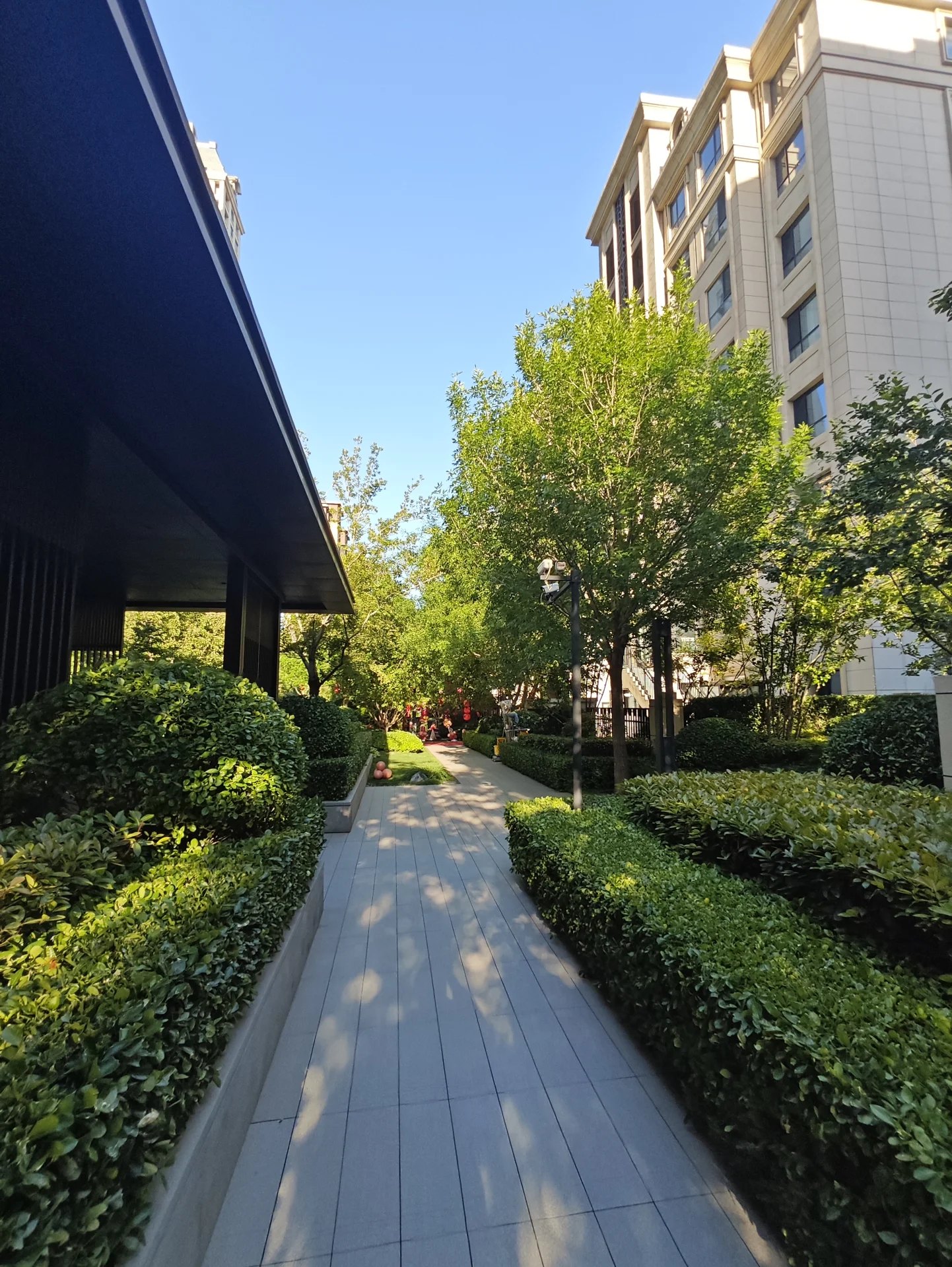 绿树成荫的步行道，两侧是现代建筑，行人悠闲漫步，营造出宁静舒适的氛围。关键字:绿树成荫 步行道 现代建筑 宁静舒适 行人漫步