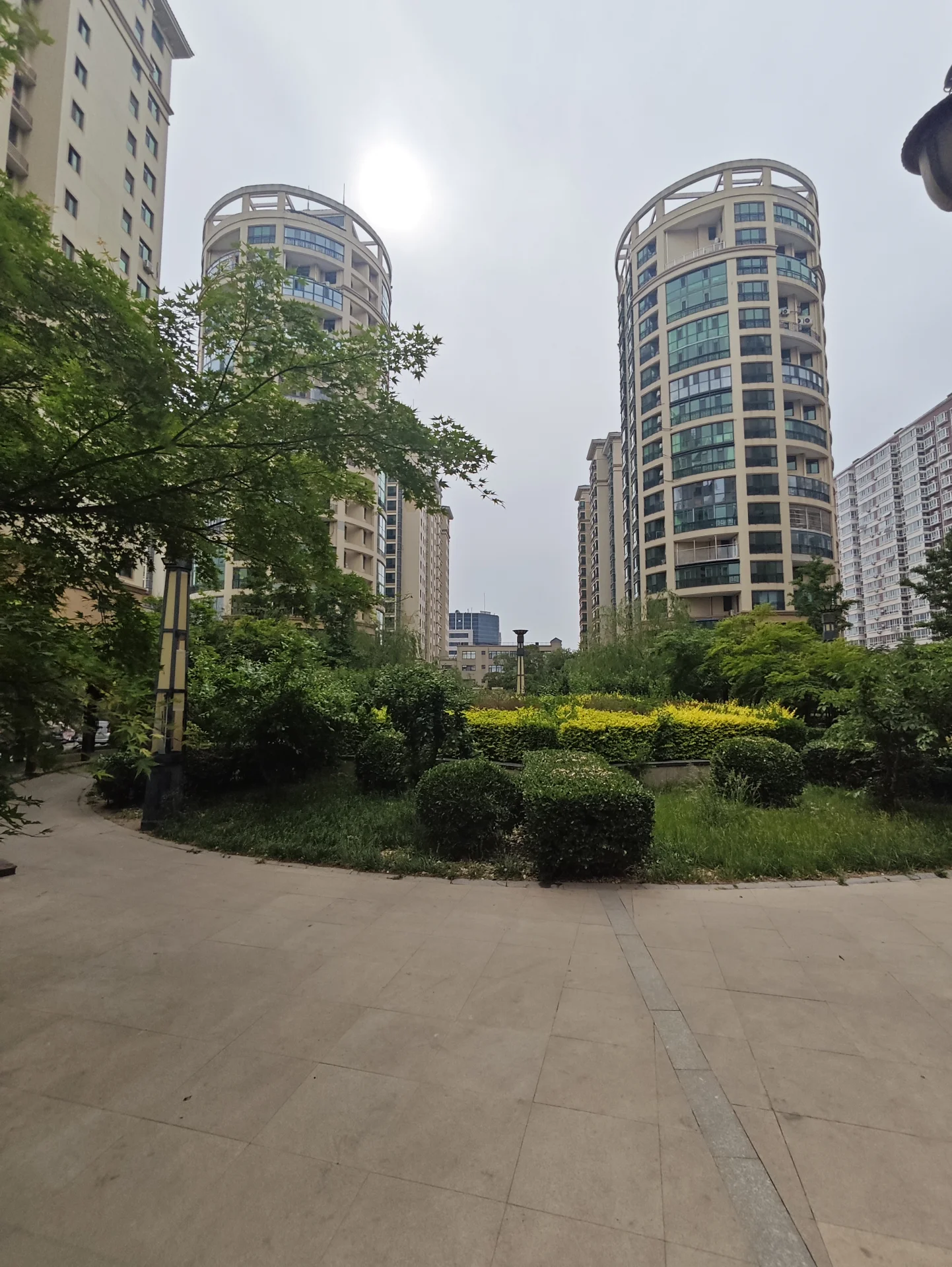 城市公园，绿树成荫，现代建筑错落有致，营造出宁静而都市的氛围。关键字:城市公园 绿树 现代建筑 宁静 都市氛围