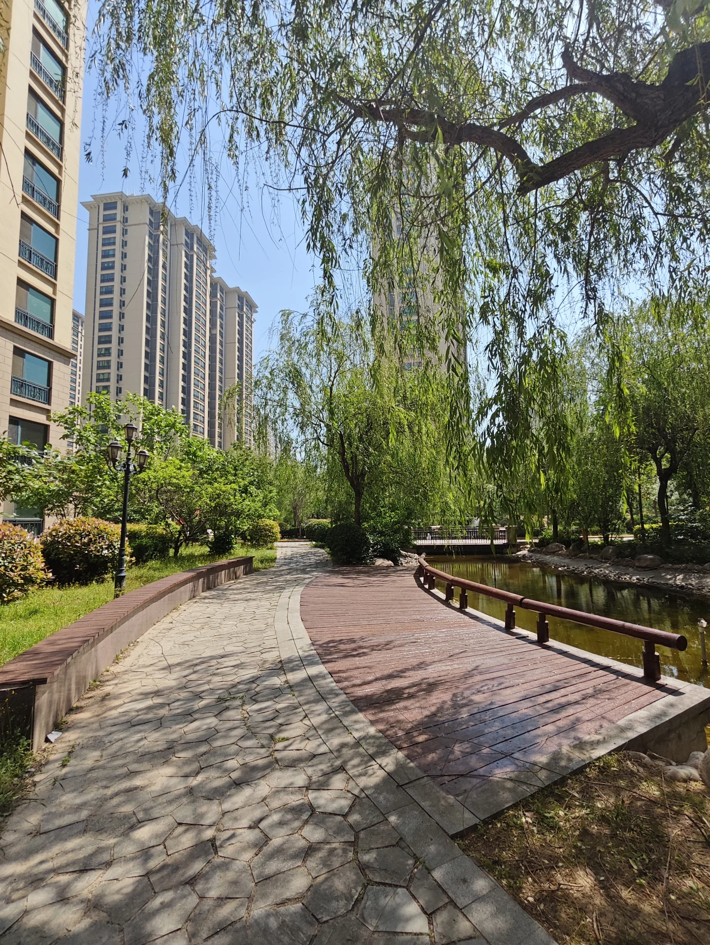 公园宁静，绿树环绕，长椅散布，小池中央，高耸建筑与自然和谐共存，营造出放松与逃离城市喧嚣的氛围。关键字:公园 砖步道 树木 长椅 小池 高耸建筑 绿意盎然 宁静放松