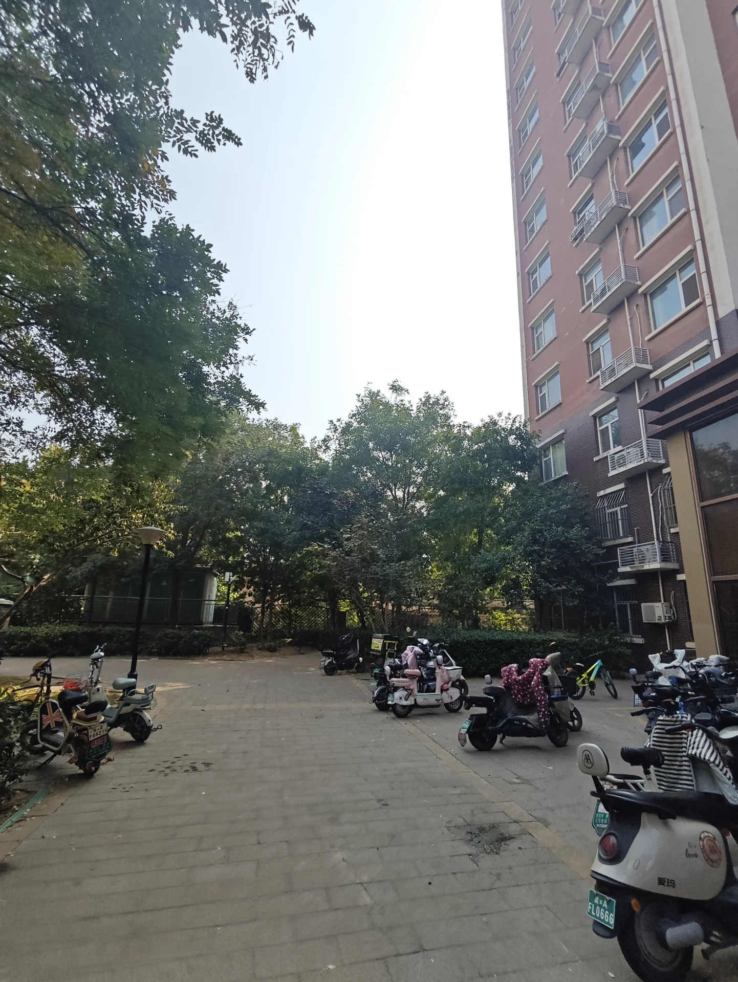 一栋高层住宅建筑位于画面右侧，周围环绕着茂密的树木和停放的摩托车，整体环境绿化良好，展现出城市居住区的日常景象。