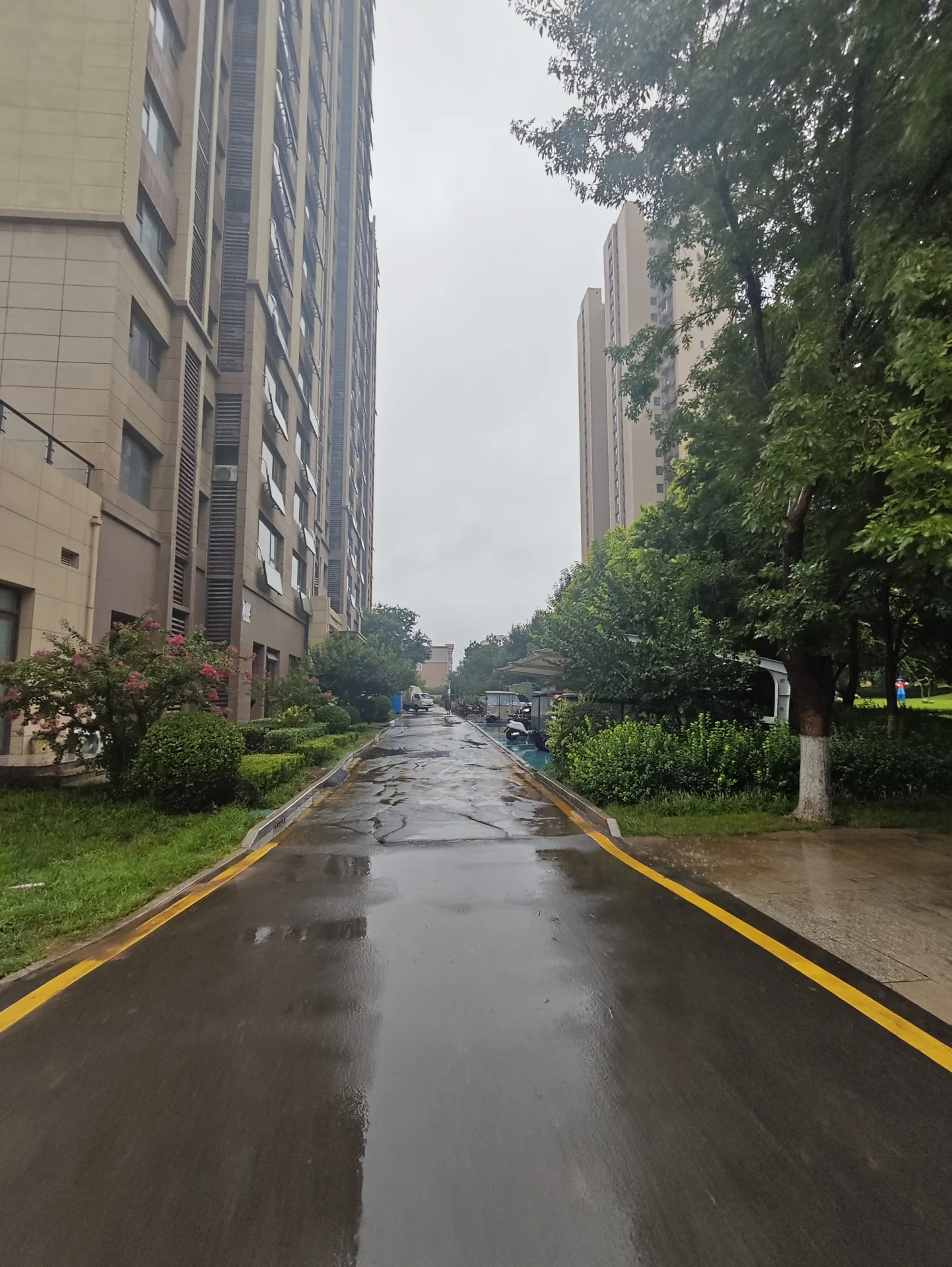 一条湿润的沥青道路延伸至远方，两侧是高层住宅建筑和茂密的树木。天空阴沉，整体呈现出一种宁静而略带潮湿的城市氛围。