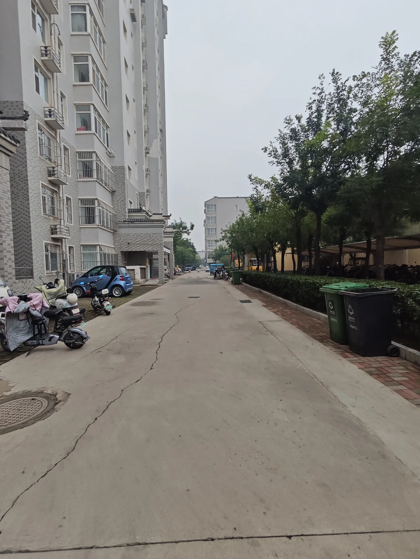 一排多层白色住宅建筑沿着一条水泥道路延伸，道路右侧有茂密的树木和绿化带。整体环境显得较为宁静，具有典型的城市居住区氛围。