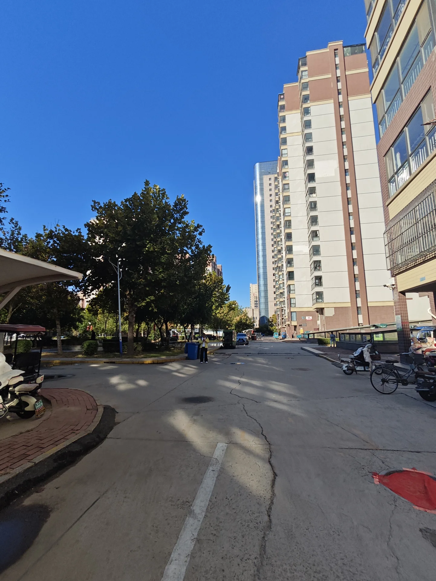 高层现代住宅建筑矗立在街道旁，建筑外立面采用浅色调，风格简洁大气。街道两侧有成熟的绿化带和树木环绕，整体环境整洁宜居。