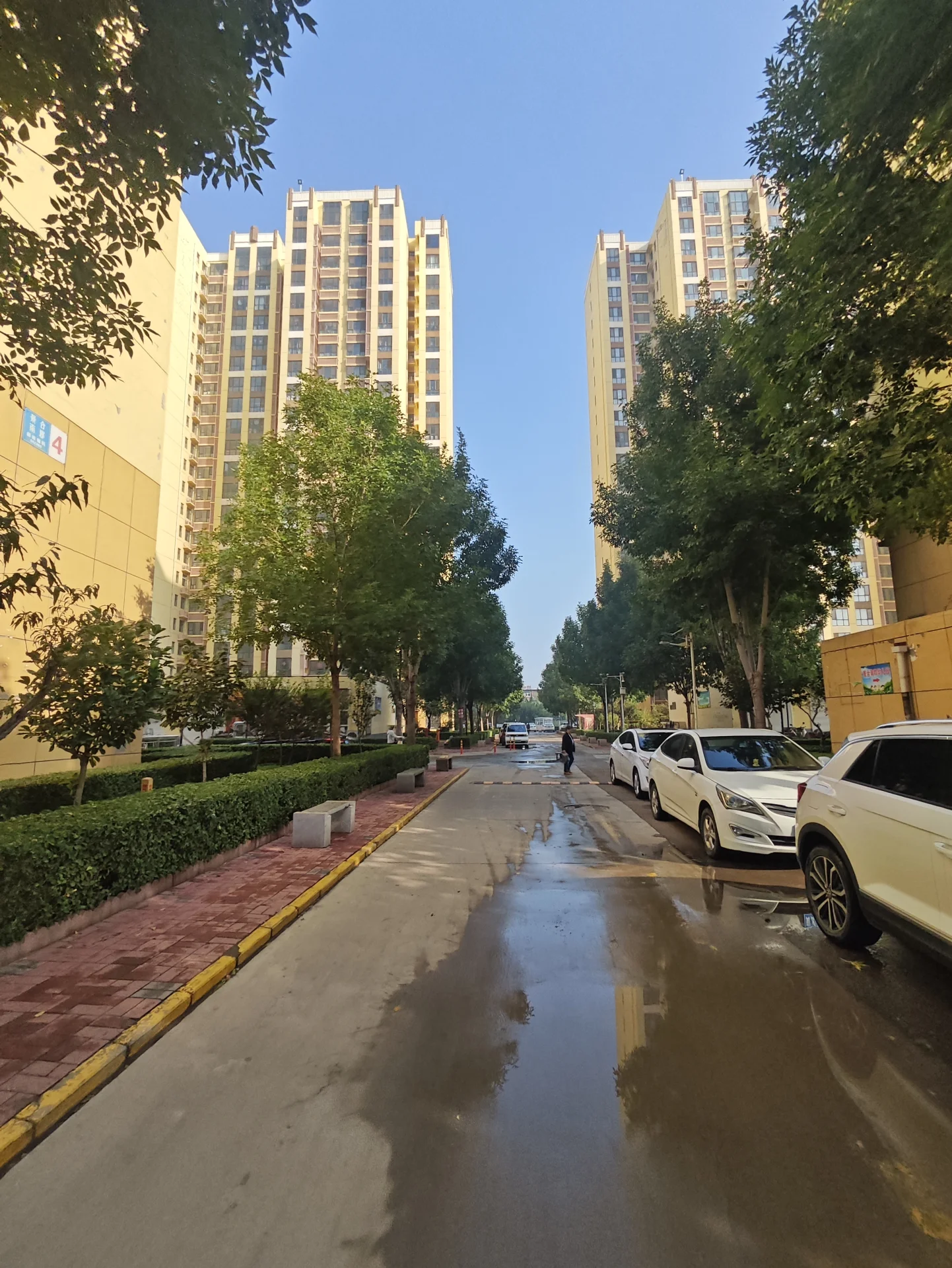 街道景观图，两侧是高层现代住宅建筑，道路湿润，有绿化带和停放的车辆。整体呈现城市居住区的日常景象。