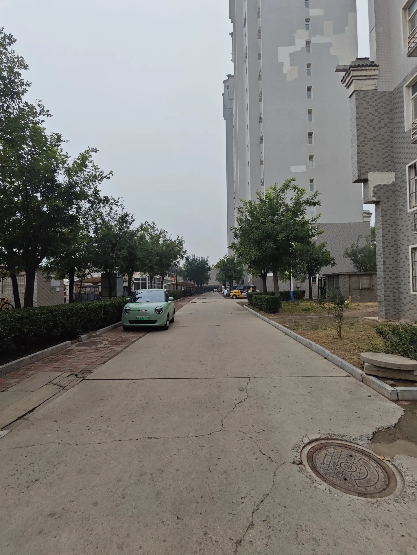一条城市住宅区的道路，两侧有树木和建筑，远景可见高层住宅楼，整体环境宁静有序。