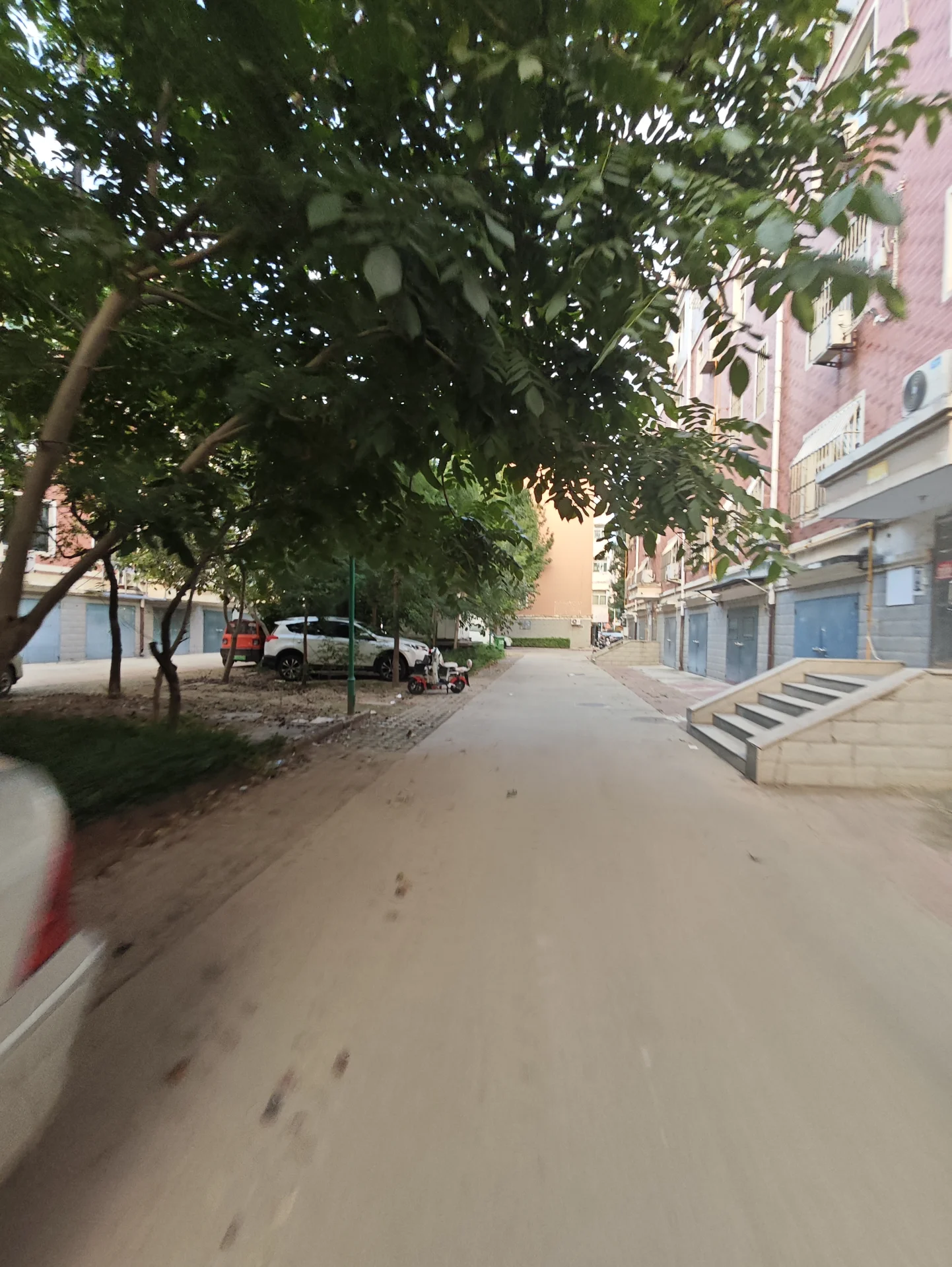 一条被茂密树木环绕的住宅区内部道路，两侧可见多栋多层建筑，环境绿化良好，整体呈现宁静的居住氛围。