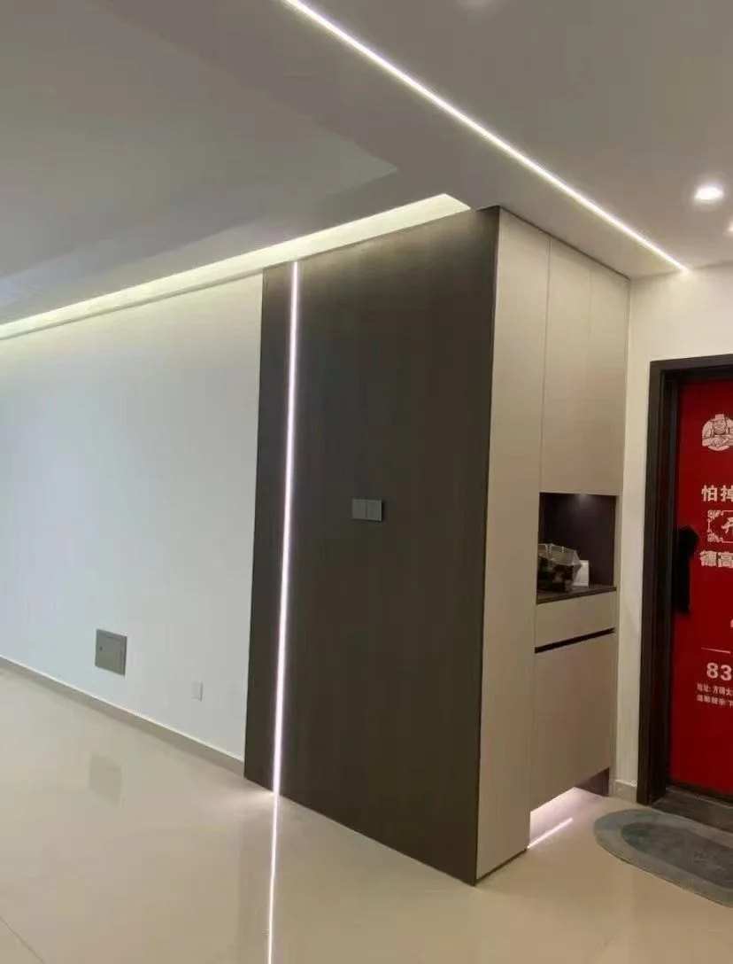 玄关区域，墙面为白色，地面为浅色瓷砖，配有深灰色嵌入式衣柜。灯光设计简洁明亮，整体呈现现代简约风格。